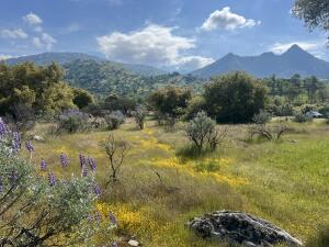 41117 Sierra Dr, Three Rivers, CA 93271