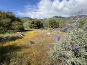 41117 Sierra Dr, Three Rivers, CA 93271