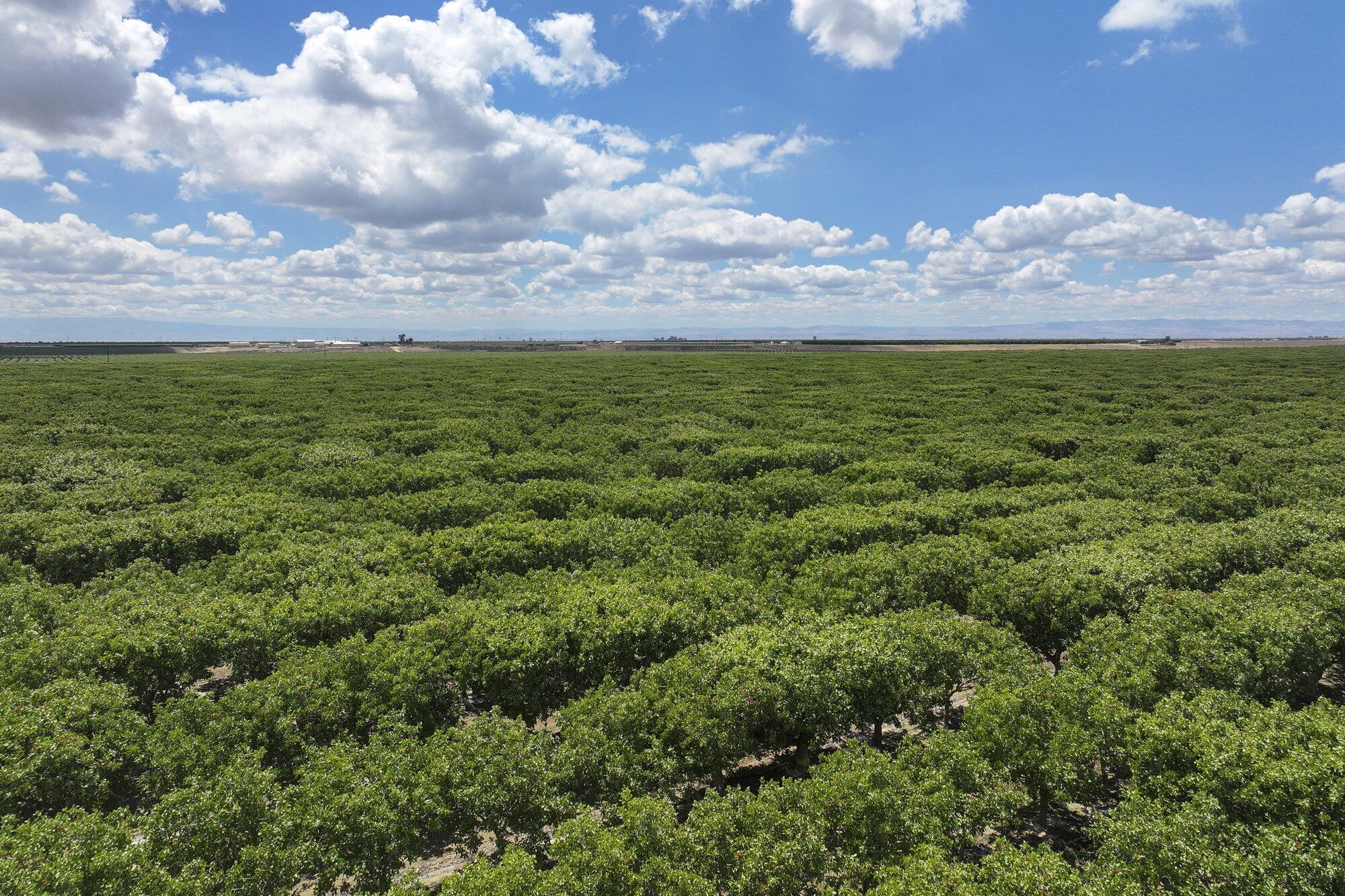 0 Kimberlina Rd, Shafter, CA 93263