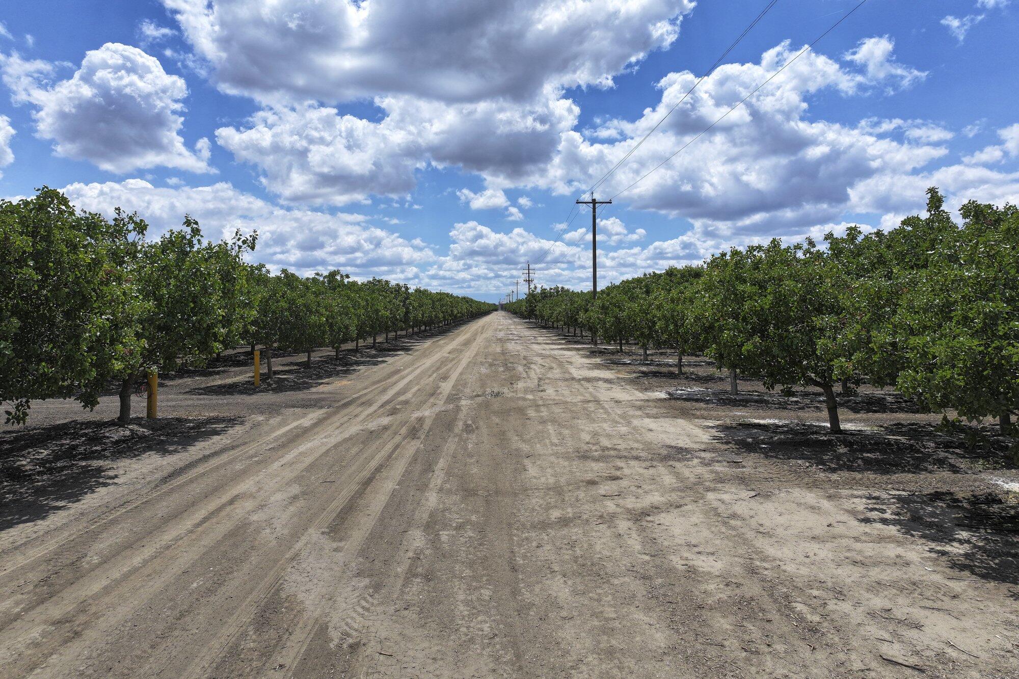 0 Kimberlina Rd, Shafter, CA 93263