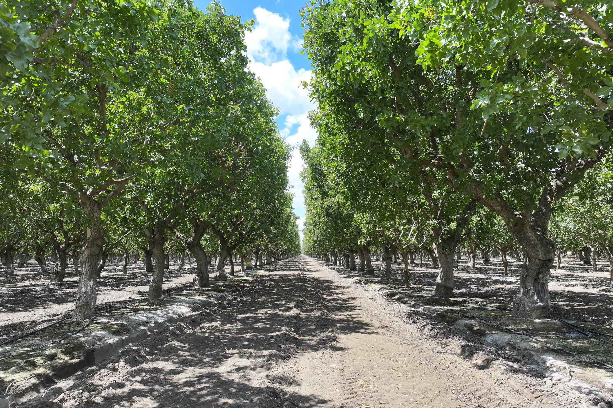 0 Kimberlina Rd, Shafter, CA 93263