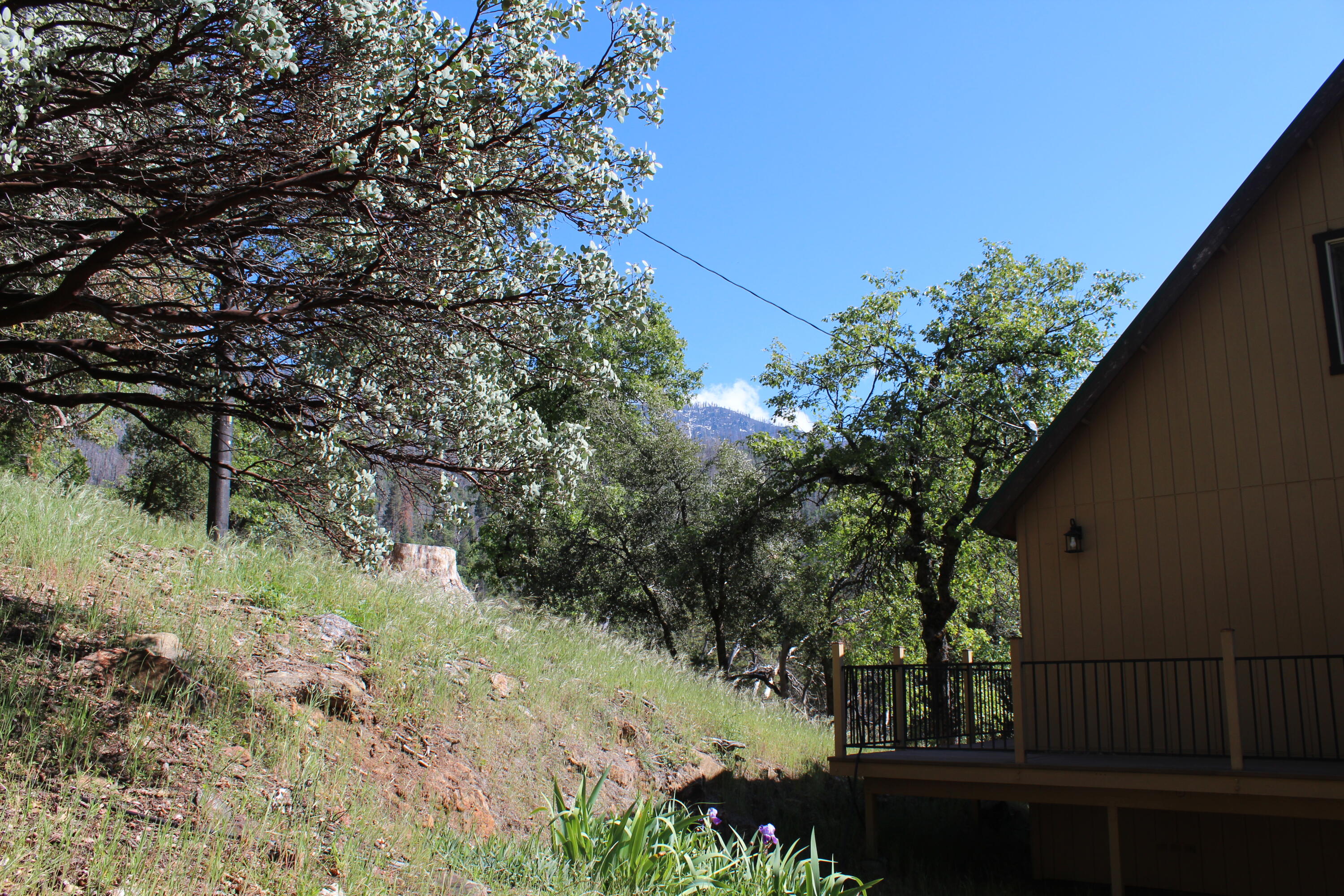 266 Soda Springs Ct, Springville, CA 93265