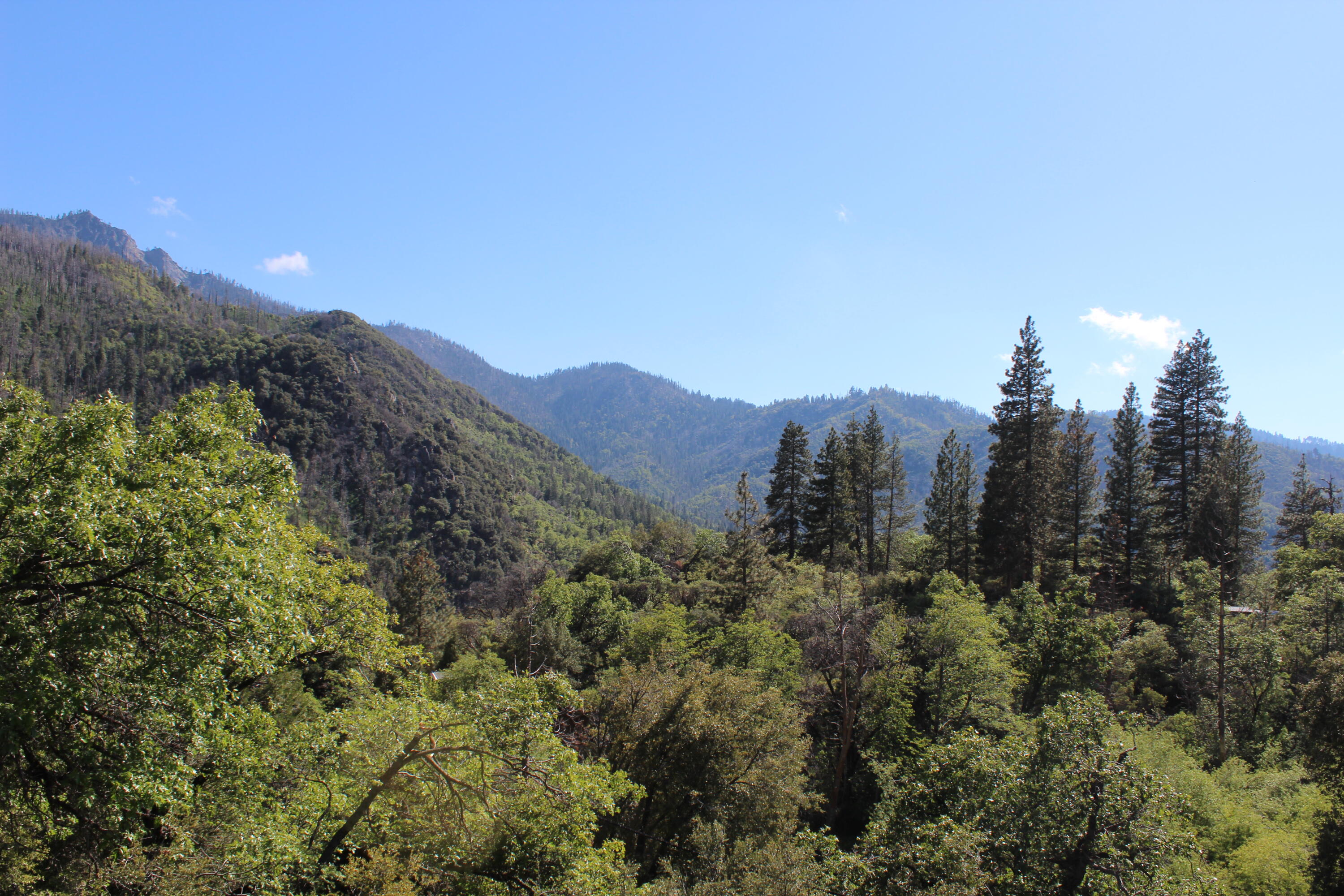 266 Soda Springs Ct, Springville, CA 93265