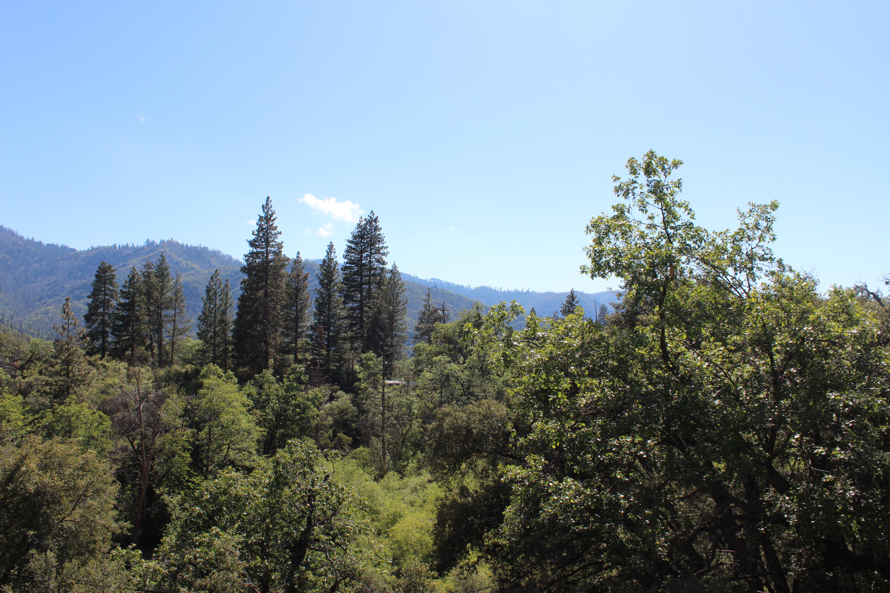 266 Soda Springs Ct, Springville, CA 93265