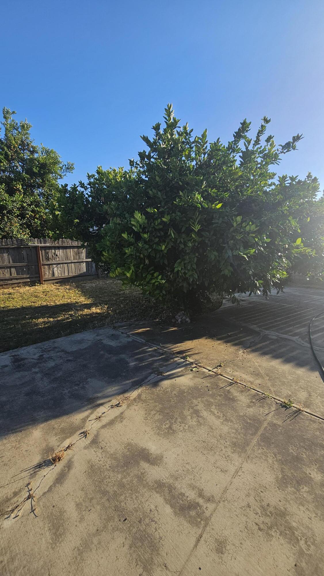 2277 W Wall Ct, Porterville, CA 93257