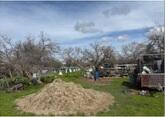 23478 Avenue 192, Strathmore, CA 93267