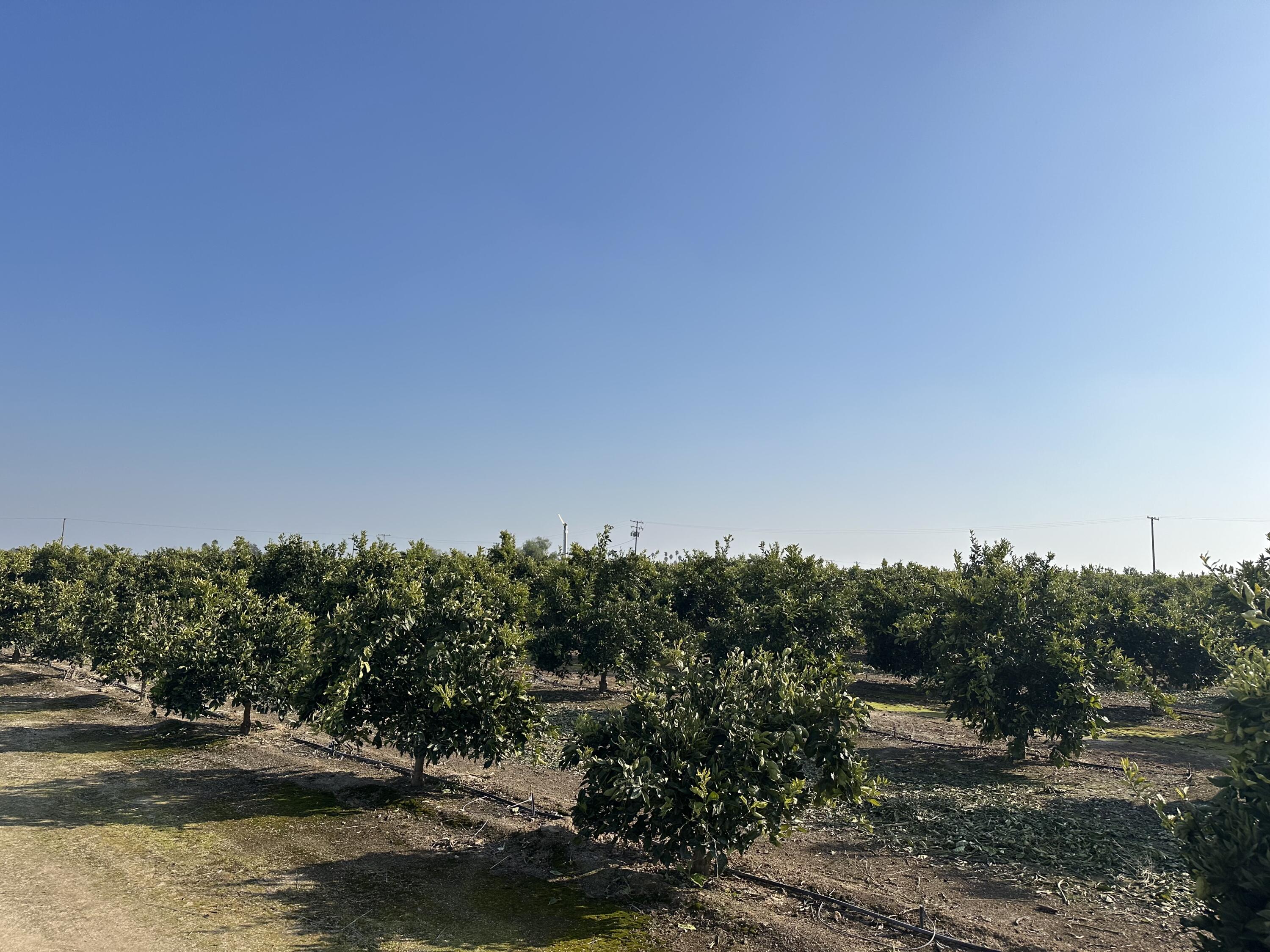 0 Highway 65 Citrus Ranch Hwy, Ducor, CA 93218