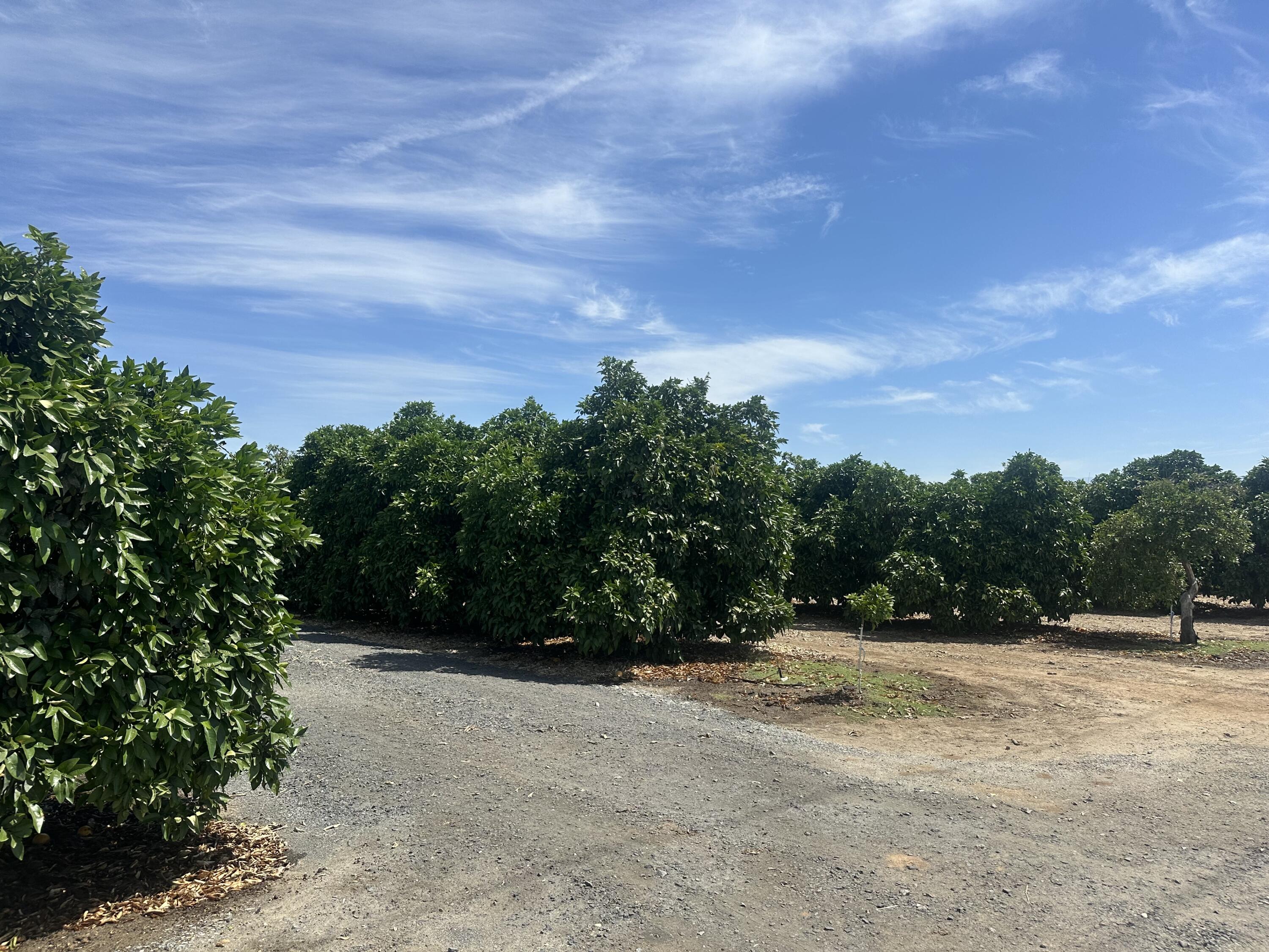 0 Highway 65 Citrus Ranch Hwy, Ducor, CA 93218