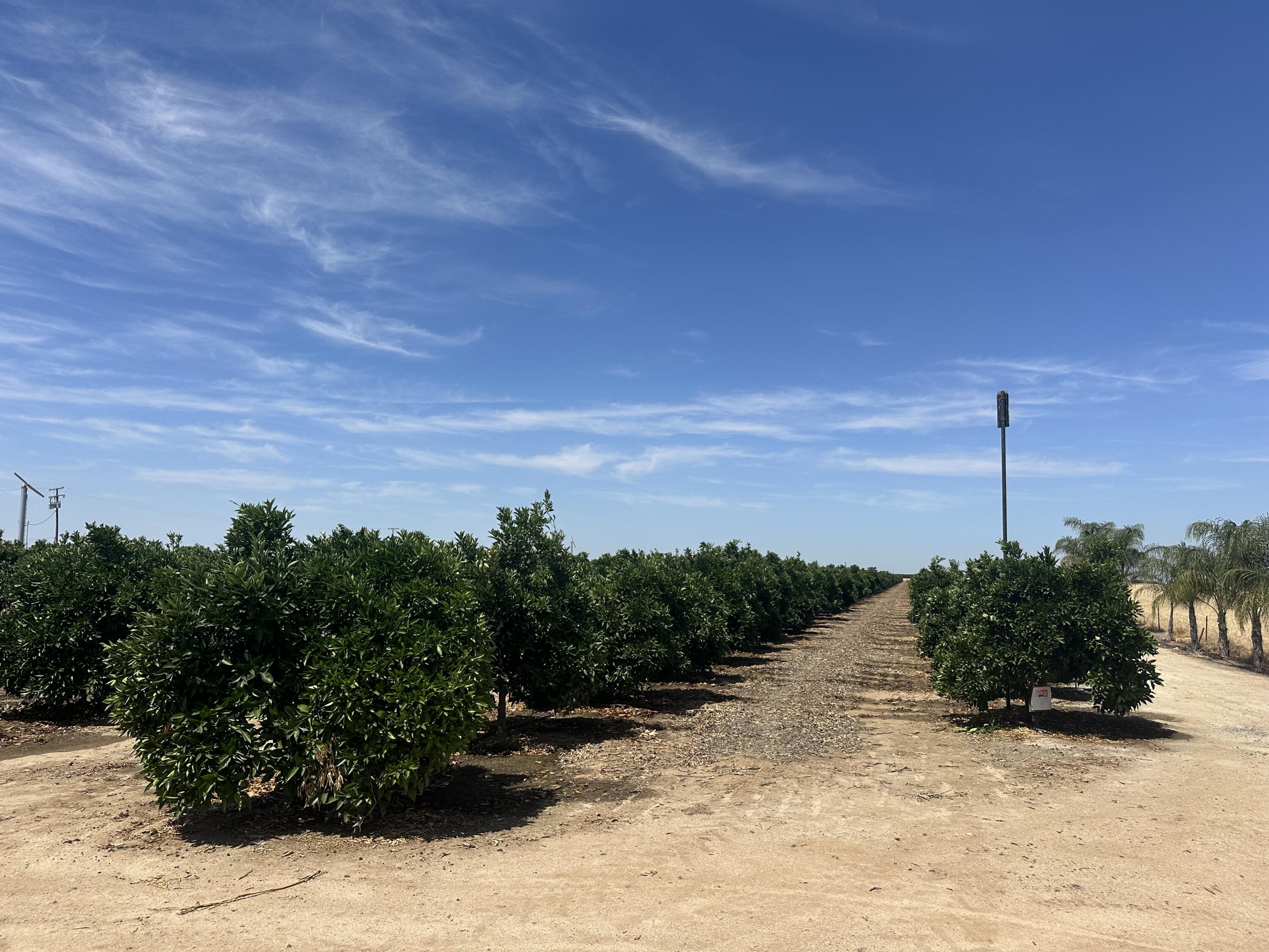 0 Highway 65 Citrus Ranch Hwy, Ducor, CA 93218