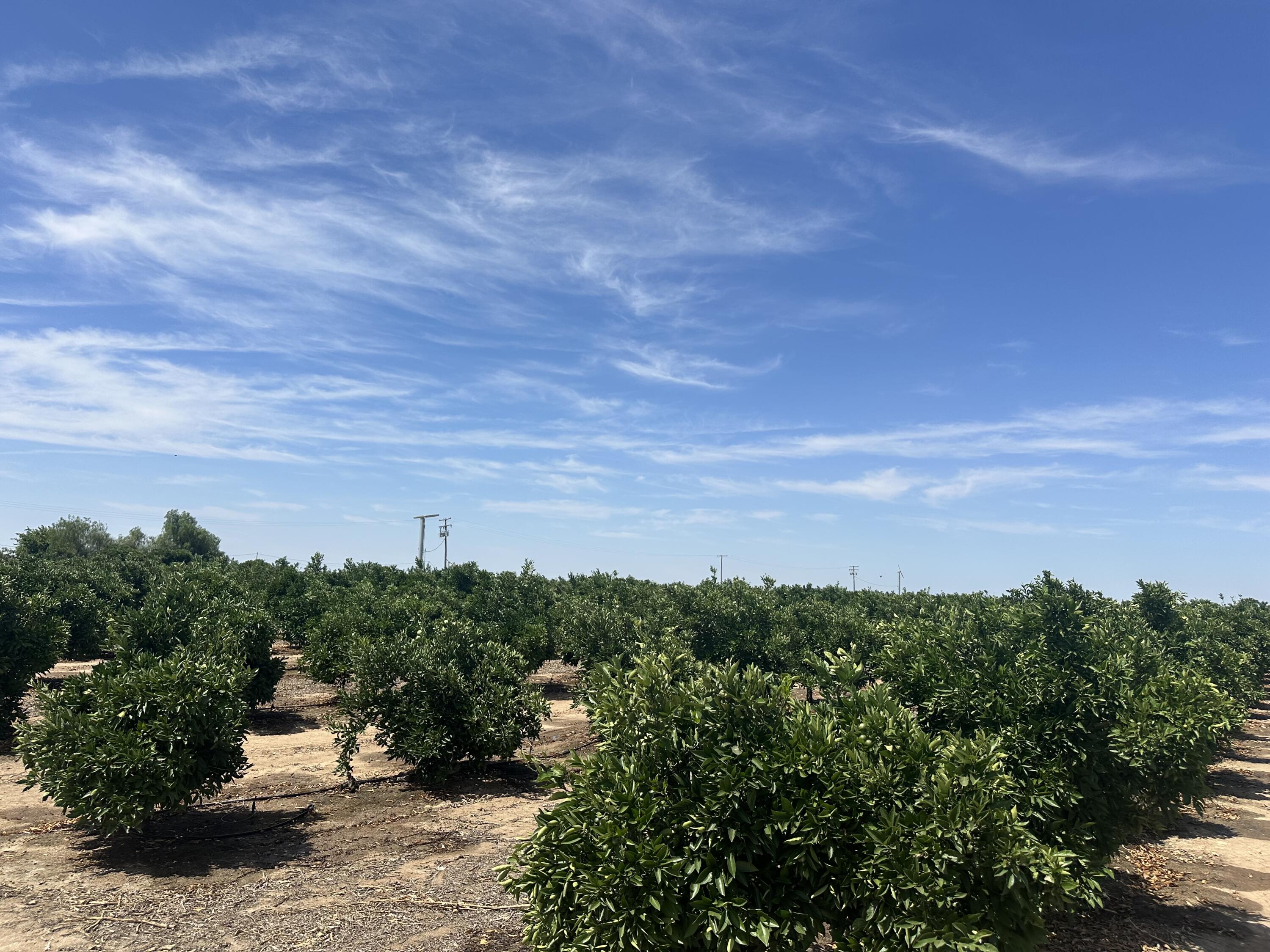 0 Highway 65 Citrus Ranch Hwy, Ducor, CA 93218