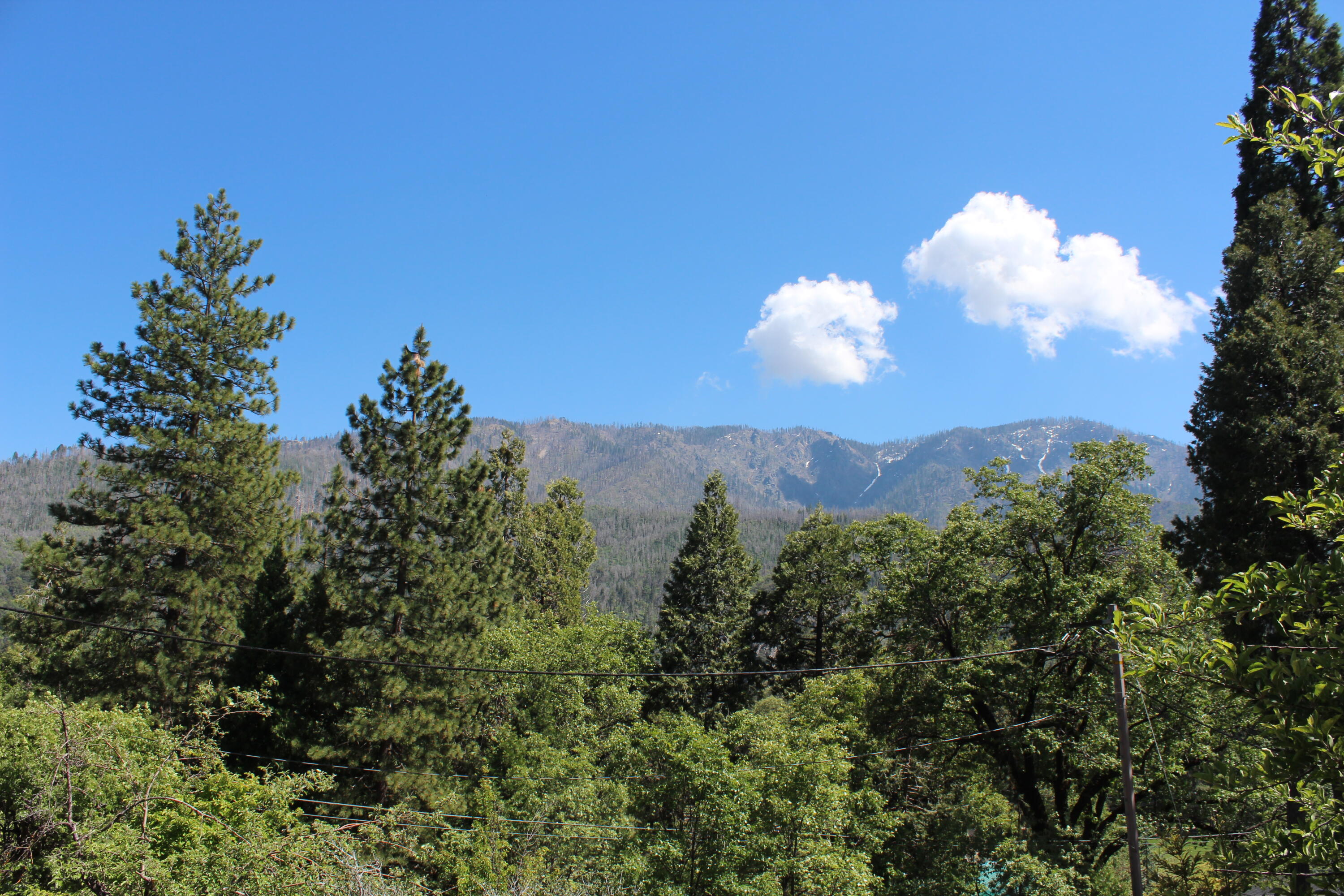 427 Sutherland, Springville, CA 93265