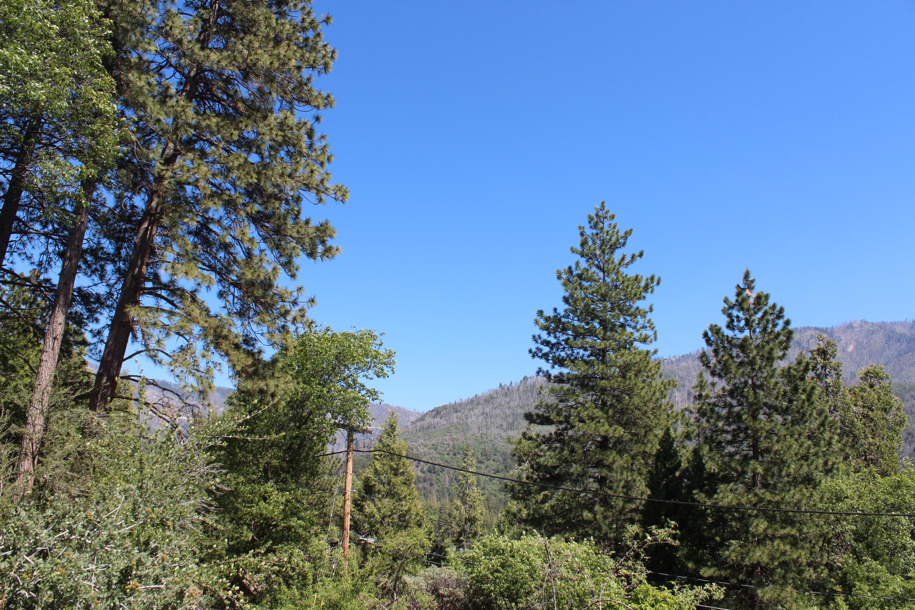427 Sutherland, Springville, CA 93265