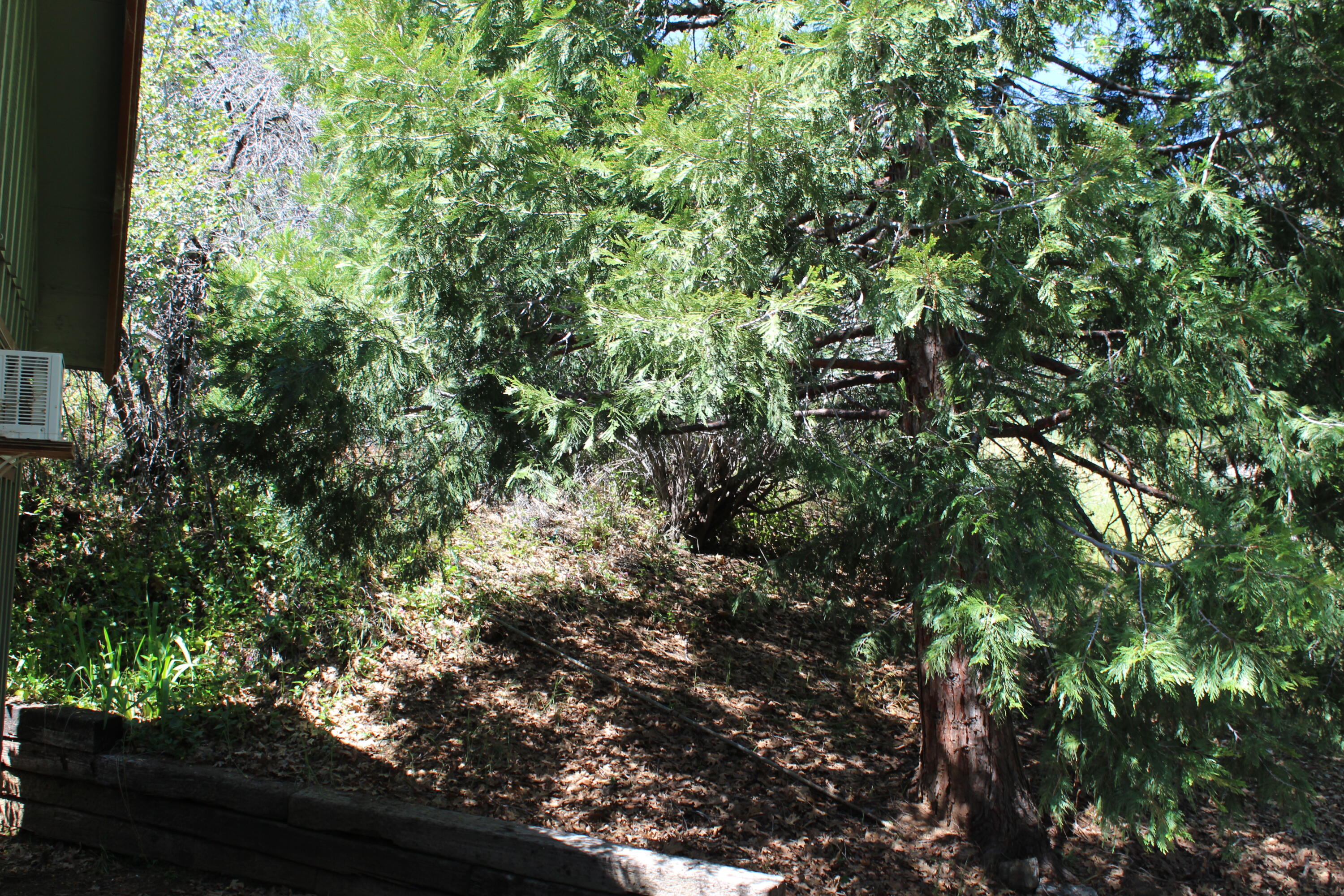 427 Sutherland, Springville, CA 93265
