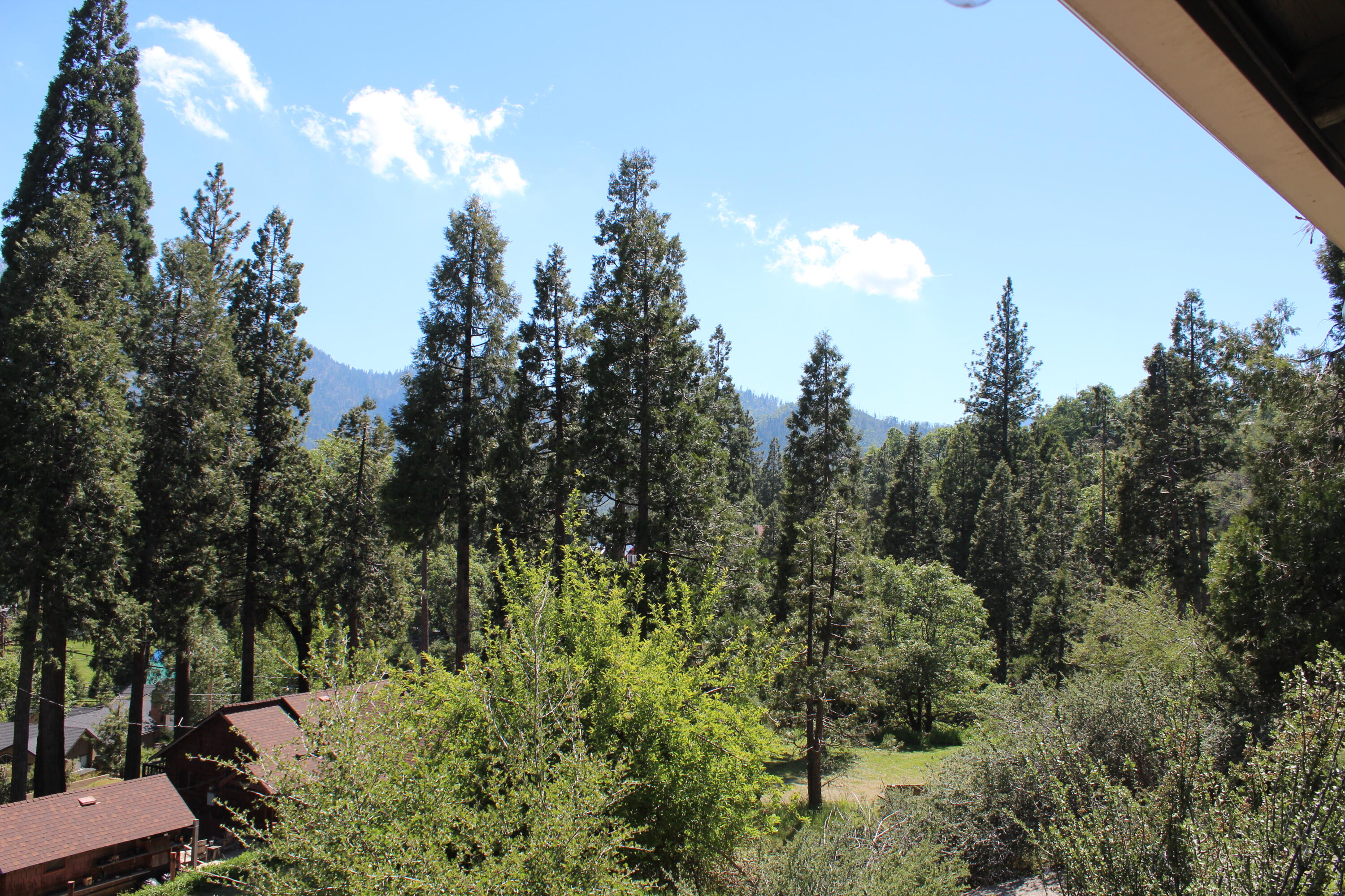 427 Sutherland, Springville, CA 93265