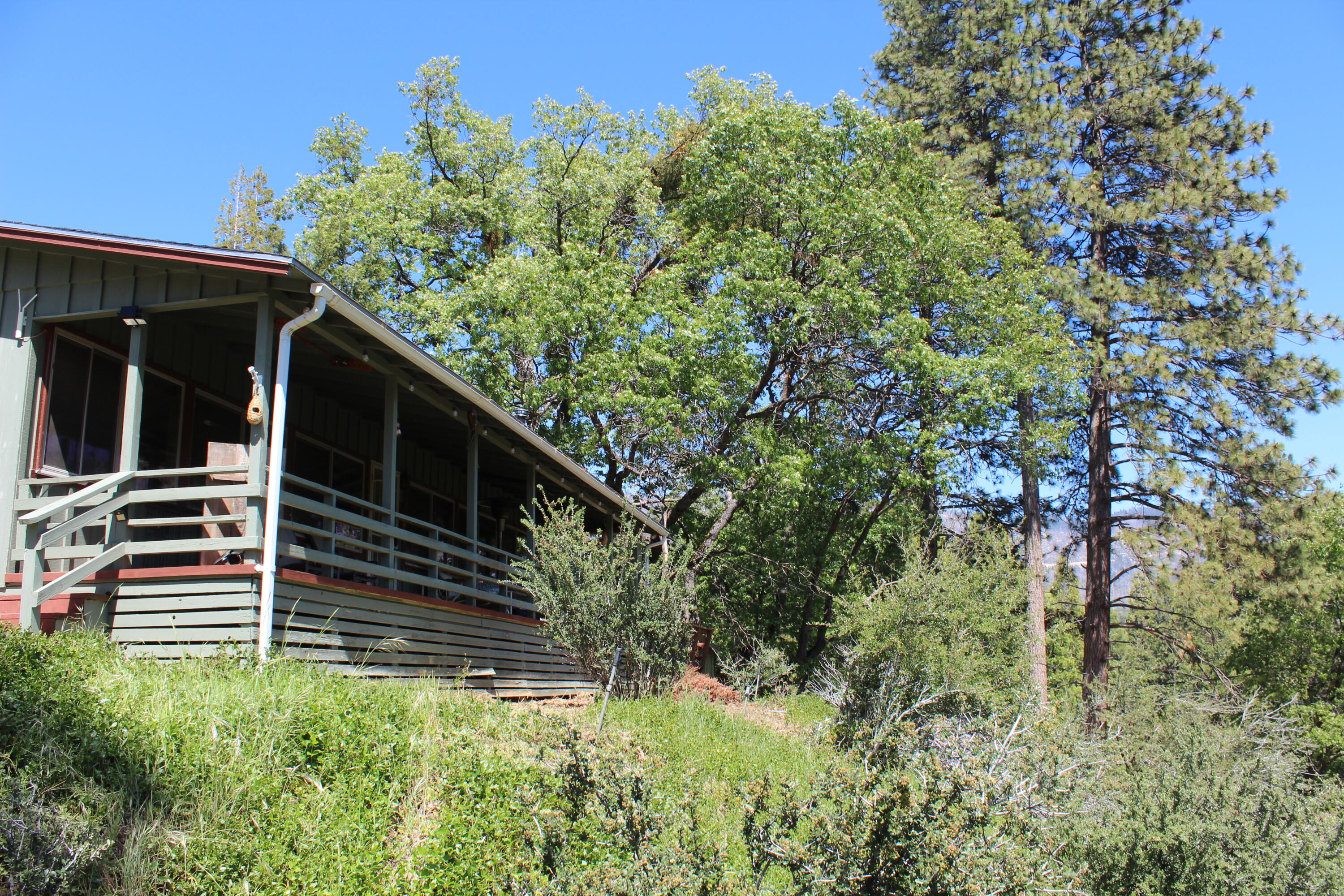 427 Sutherland, Springville, CA 93265