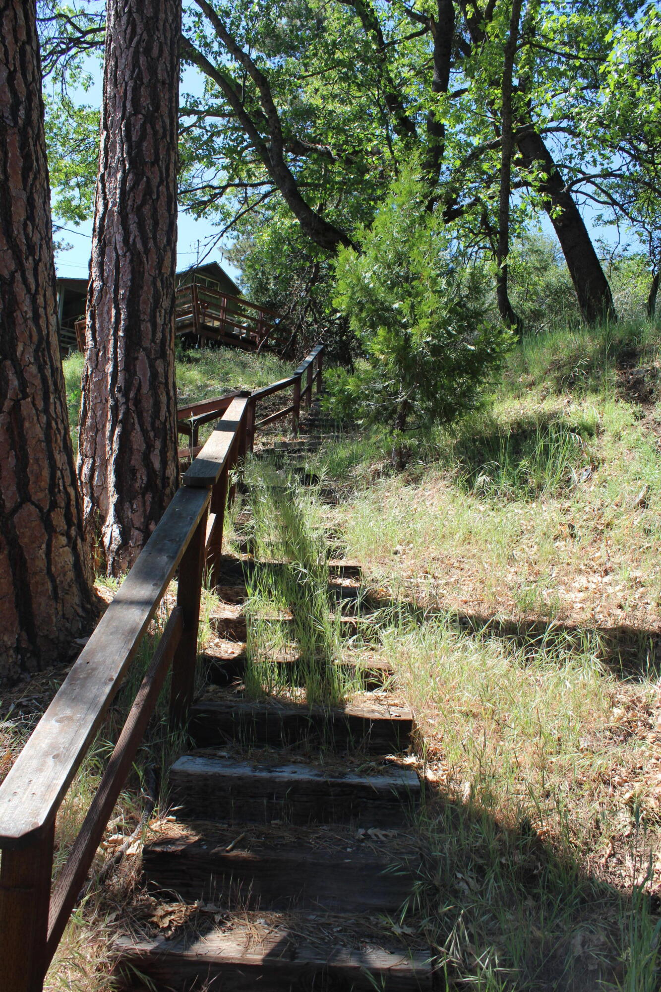 427 Sutherland, Springville, CA 93265