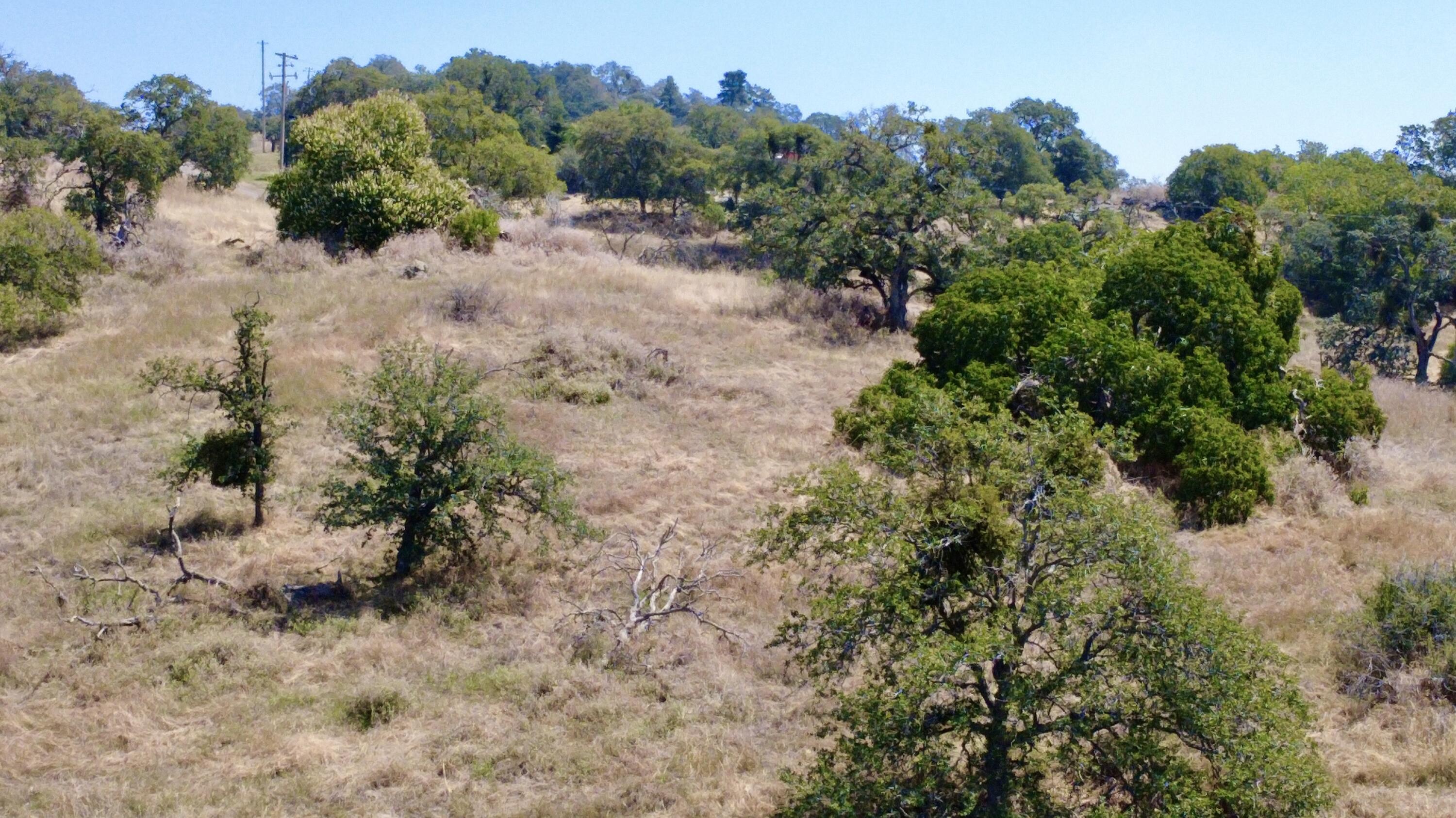 34141 Bronco Ln, Yokuts Valley, CA 93675
