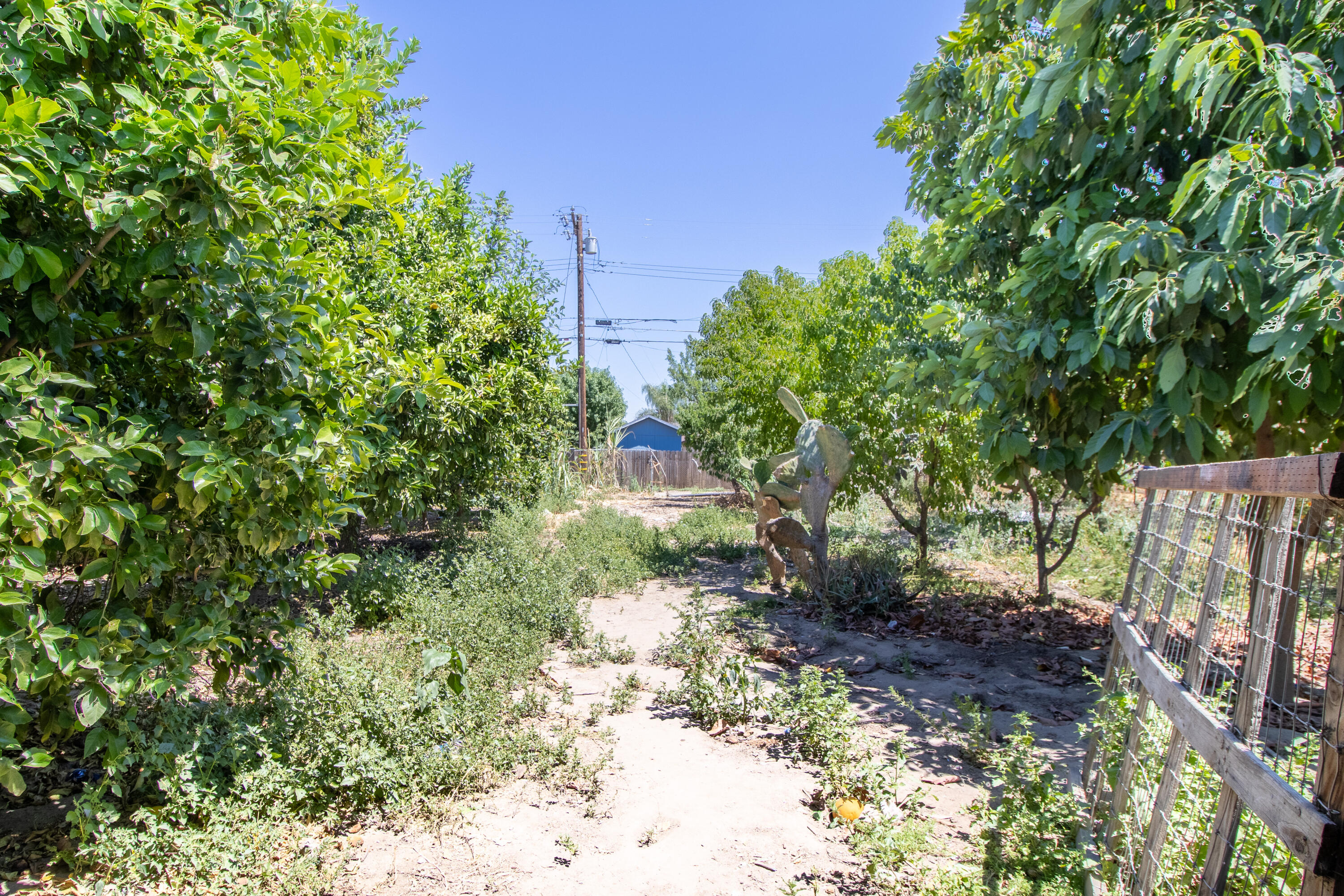 842 S P St, Tulare, CA 93274