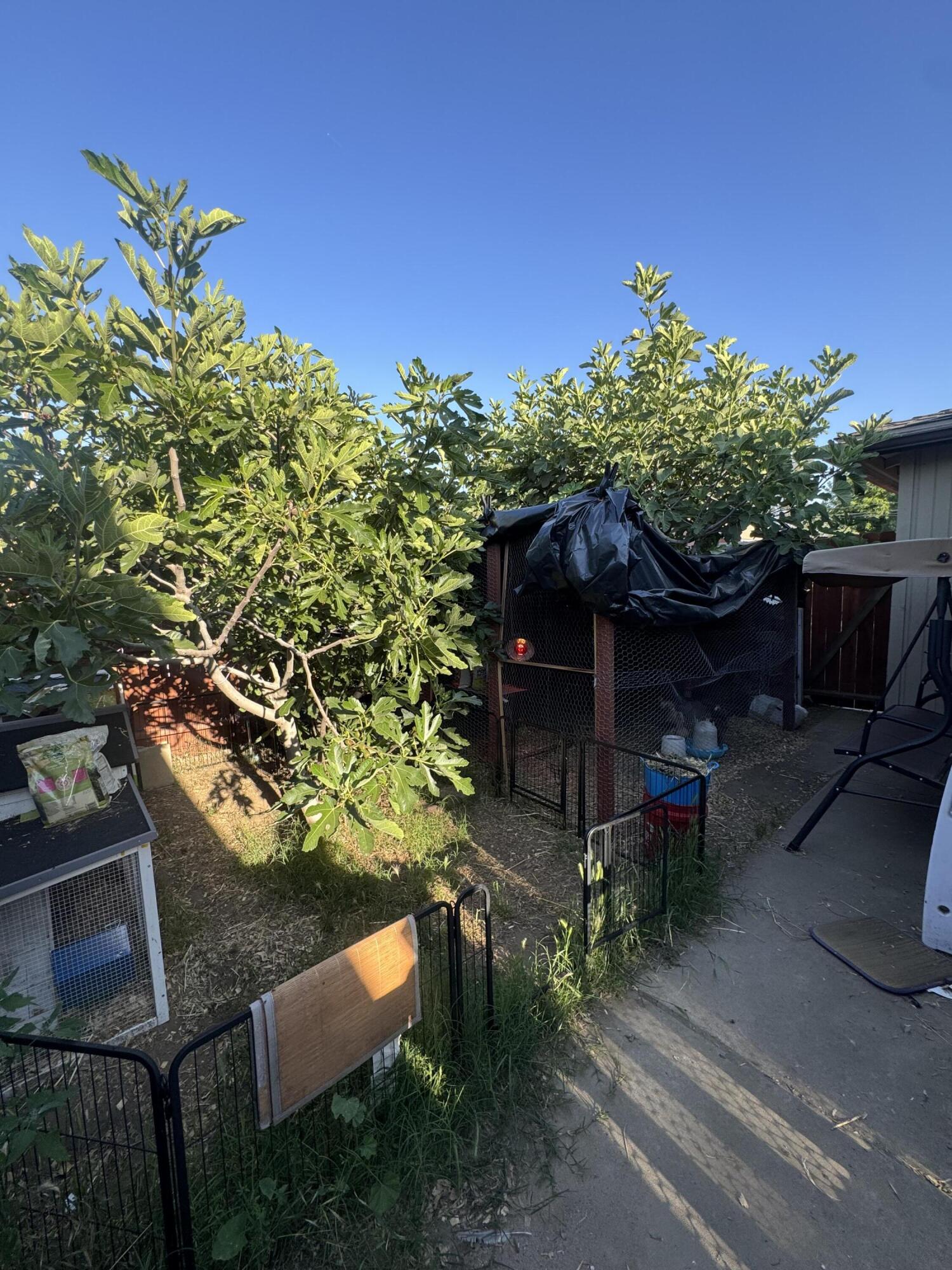 106 E Mountain View Ave, Porterville, CA 93257