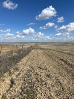 0 Kings Rd, Lost Hills, CA 93249