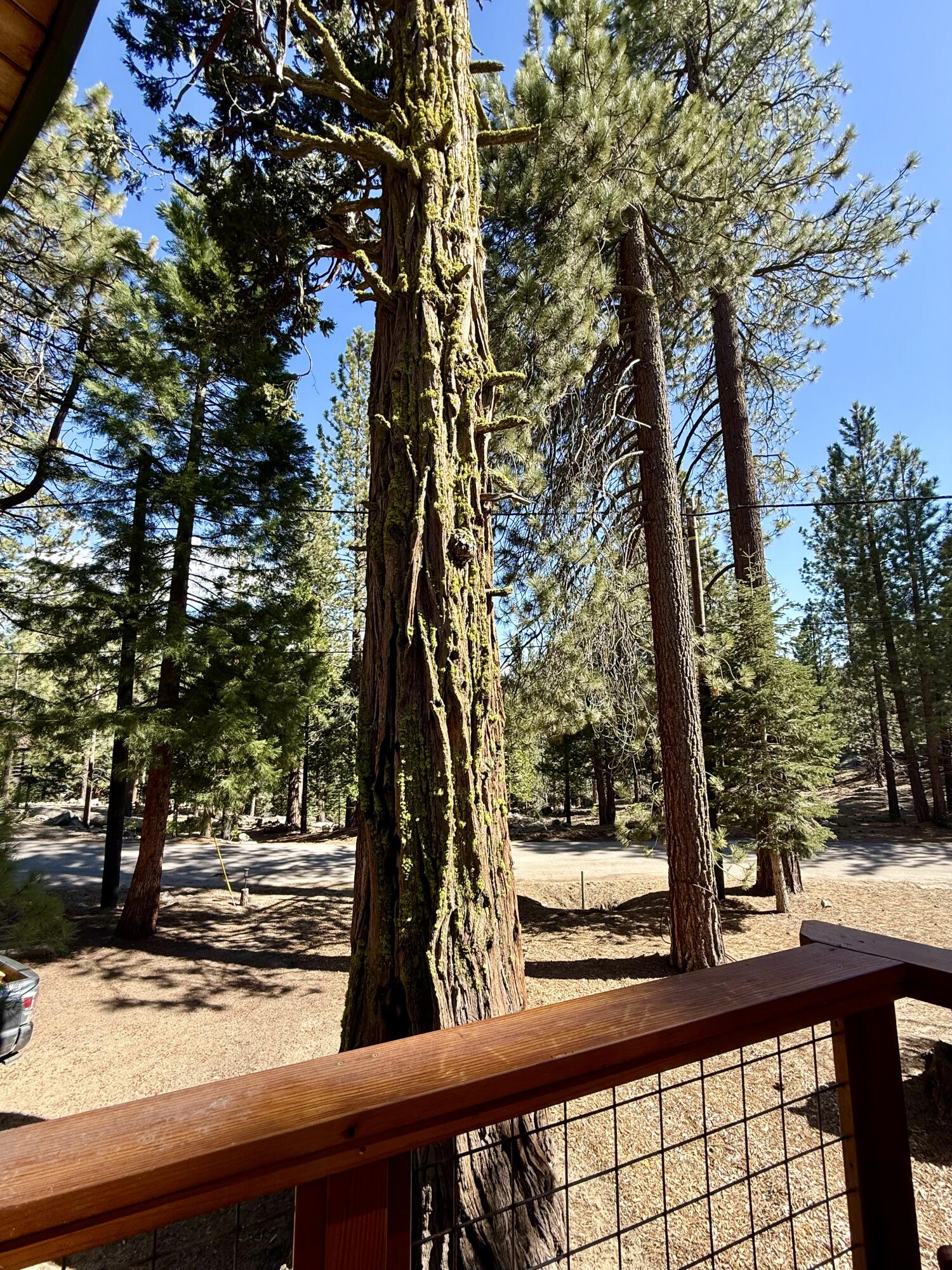 57603 Crest Drive, Springville, CA 93265