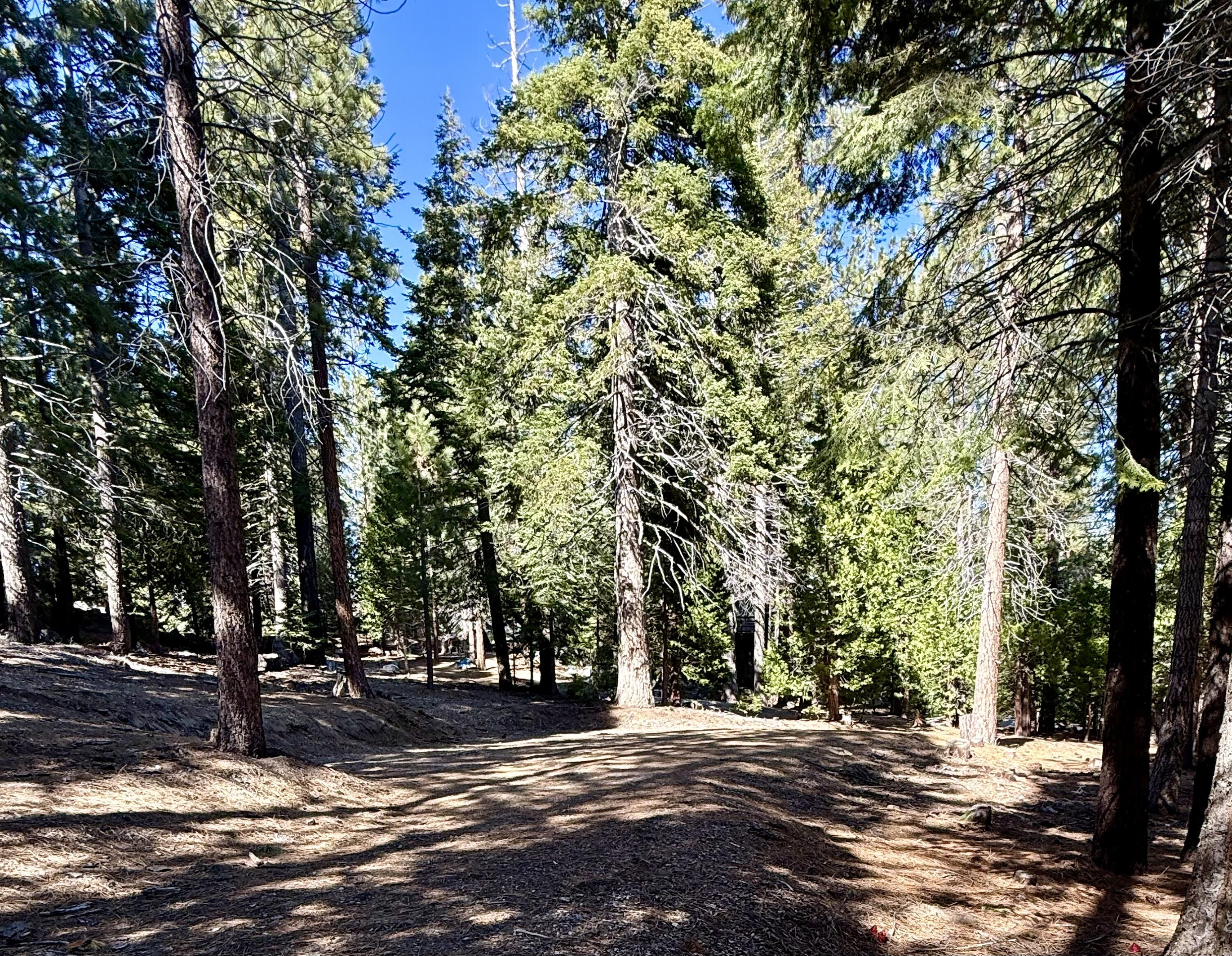 57603 Crest Drive, Springville, CA 93265