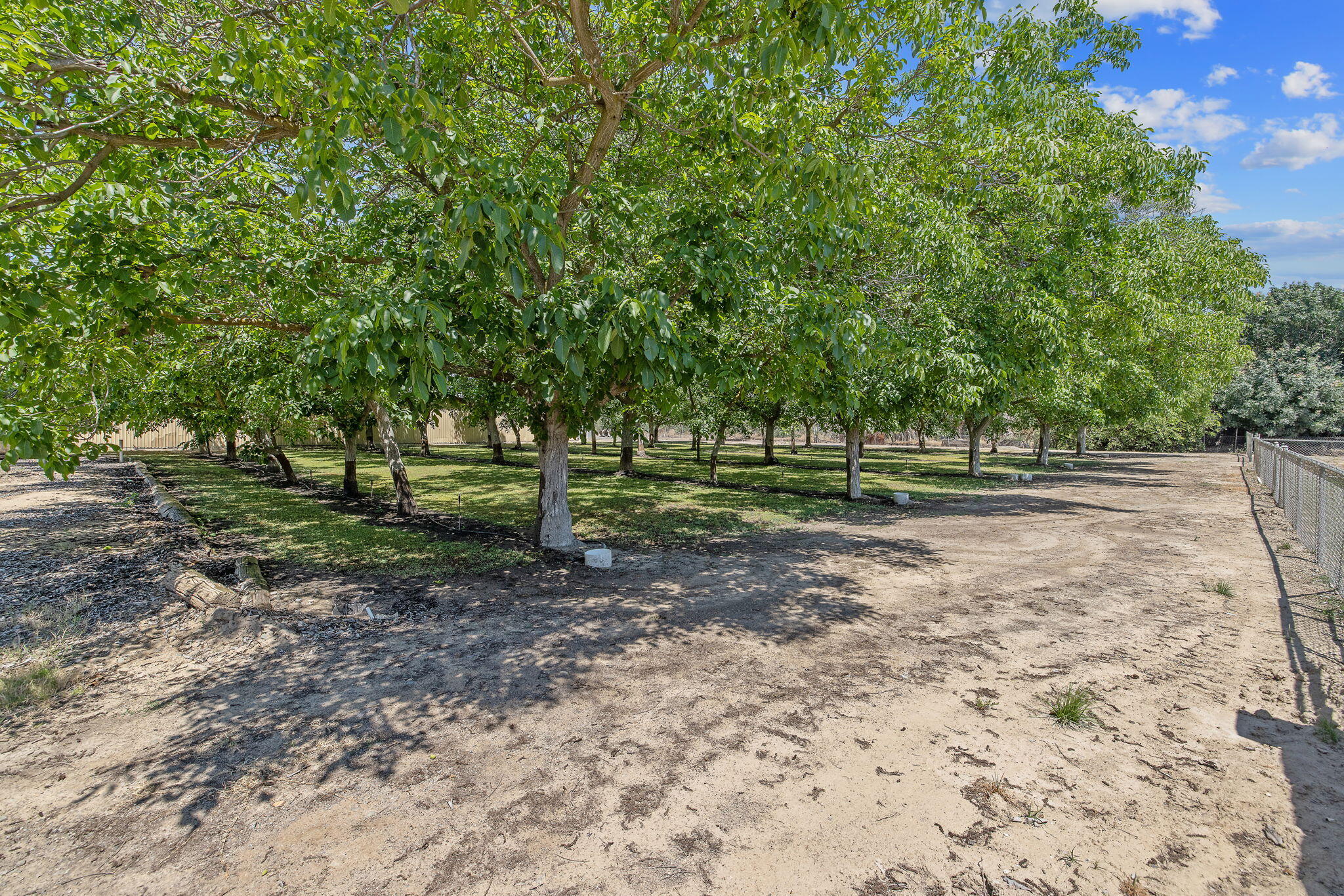 12268 Ave 328, Visalia, CA 93291