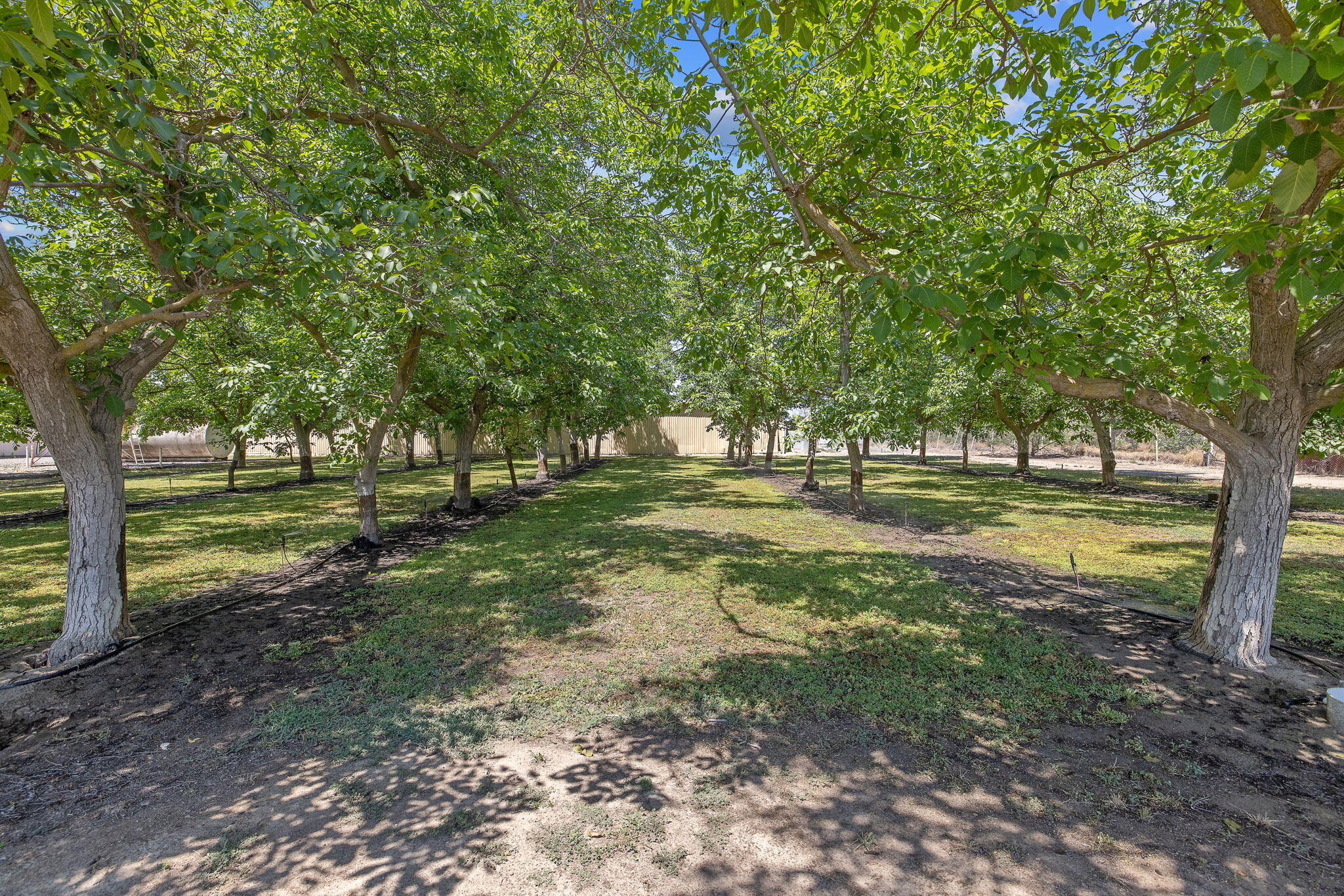 12268 Ave 328, Visalia, CA 93291