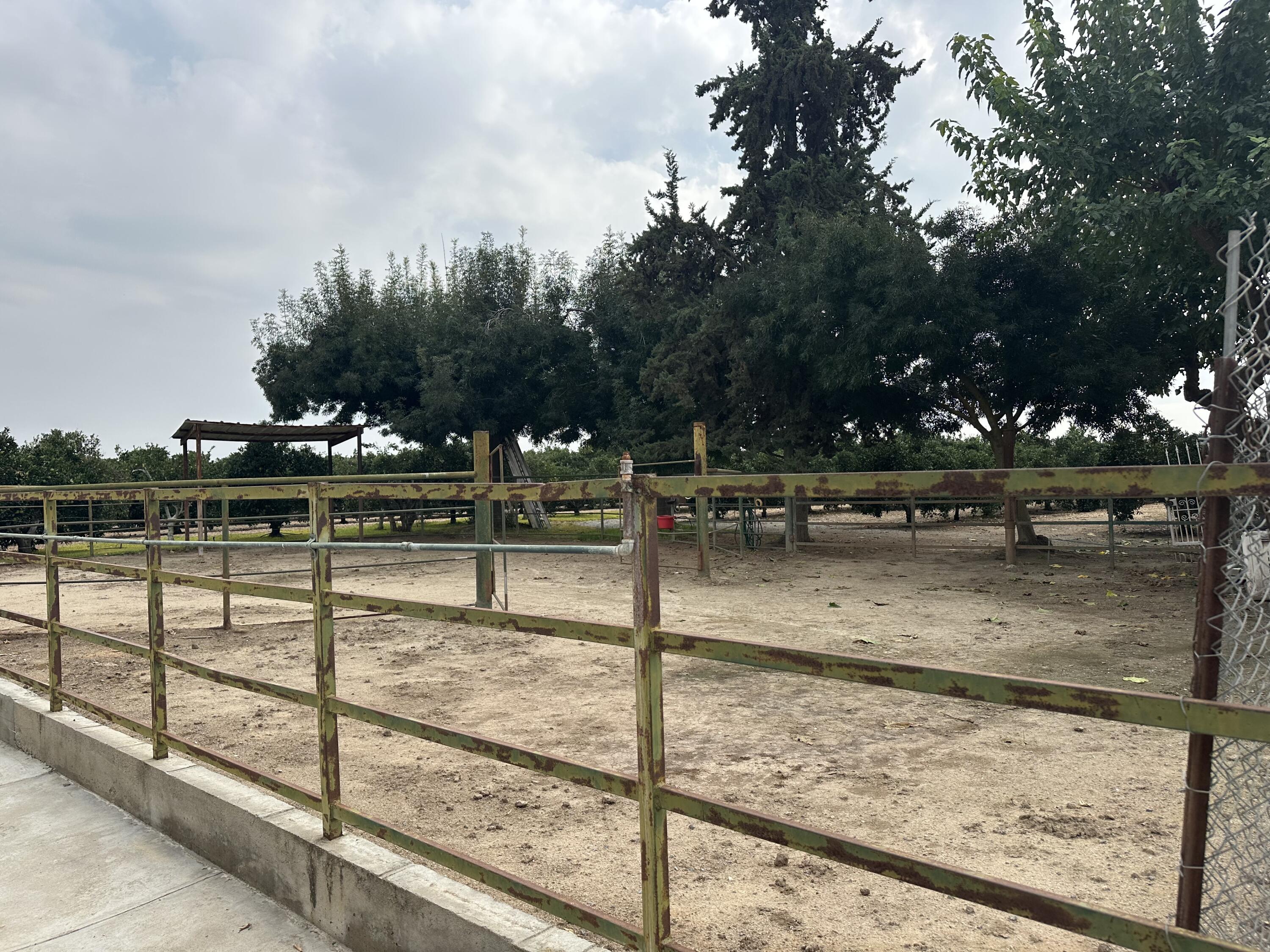 22981 Avenue 72, Terra Bella, CA 93270