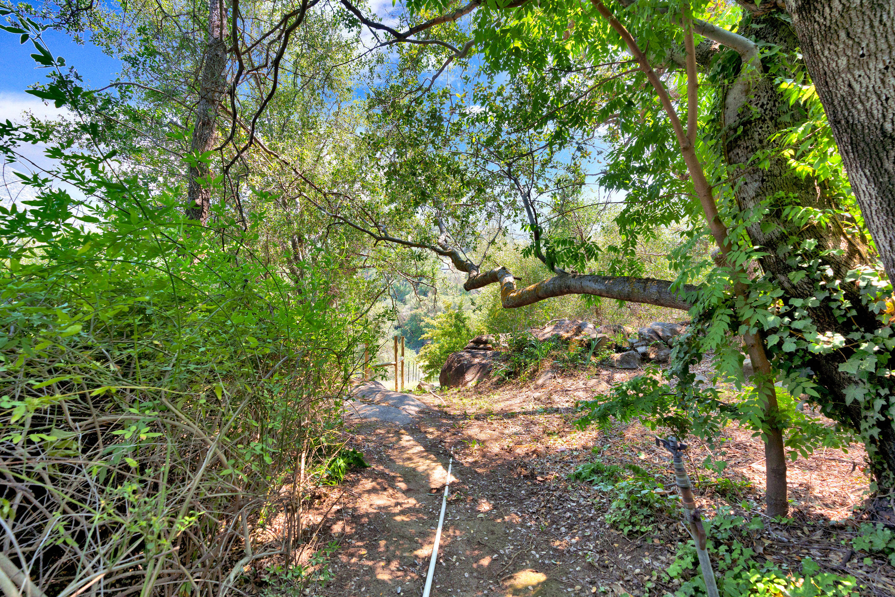 43715 Dinely Dr, Three Rivers, CA 93271