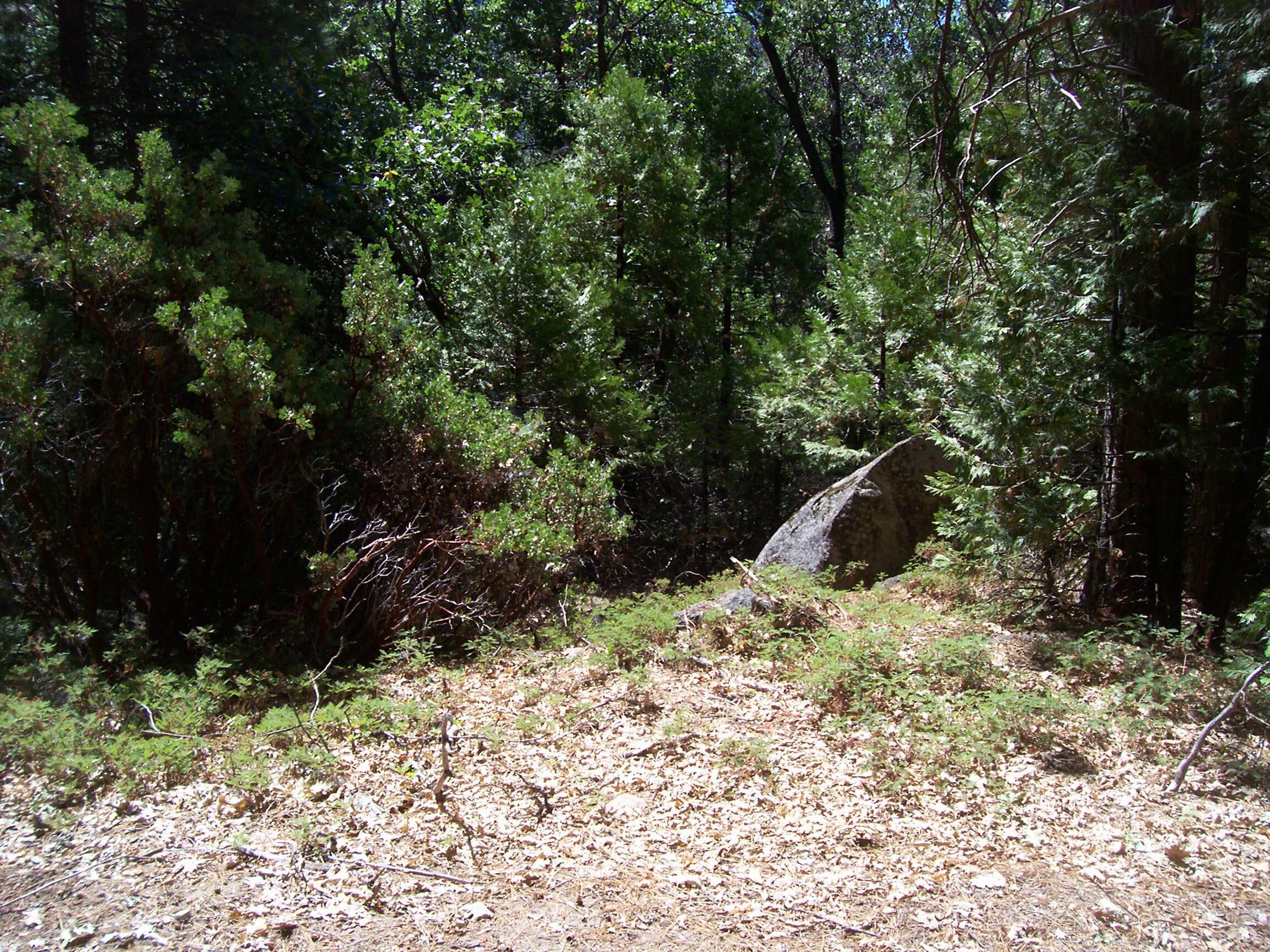 0 Highway 190, Cedar Slope, CA 93265