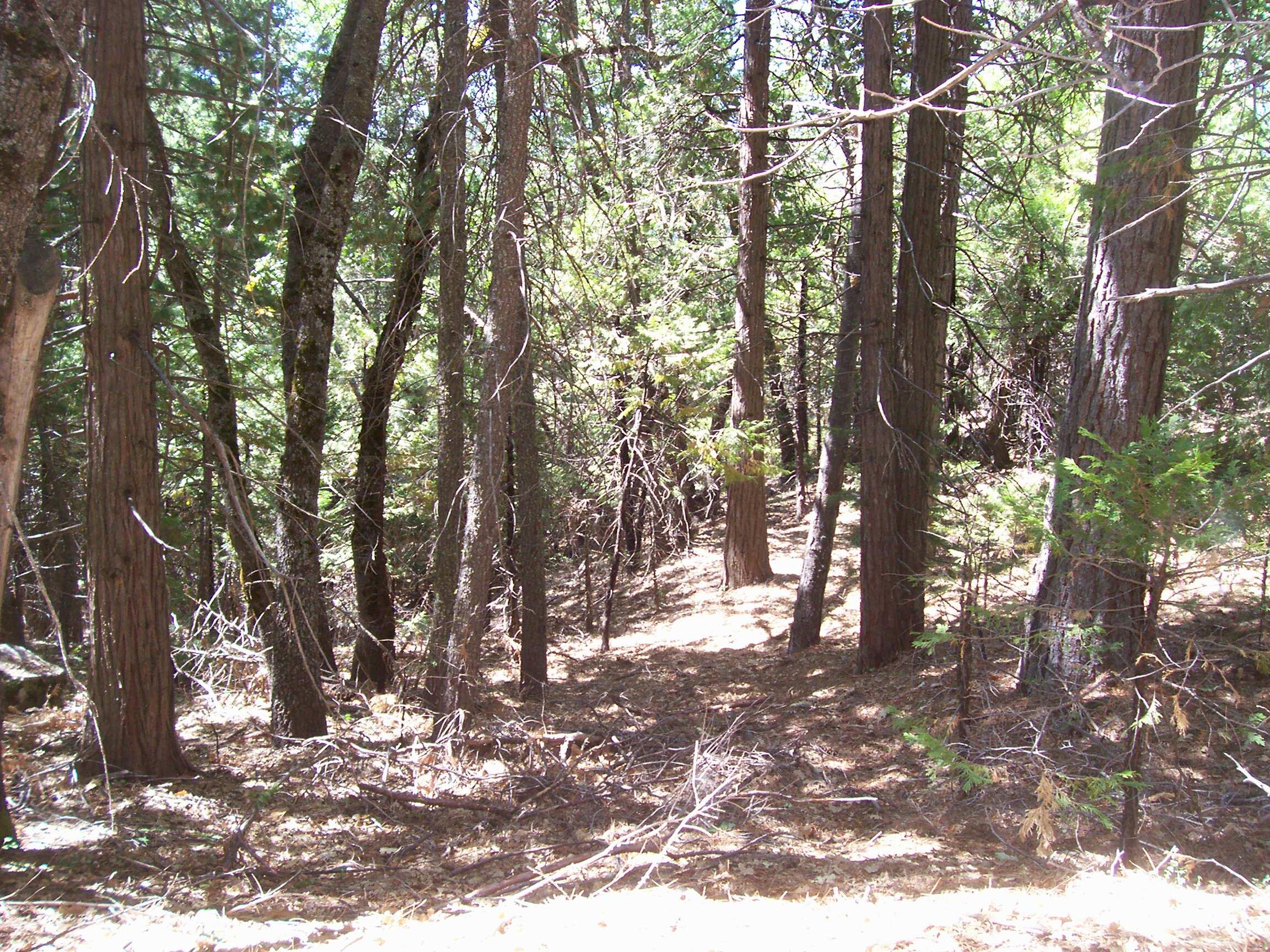 0 Highway 190, Cedar Slope, CA 93265