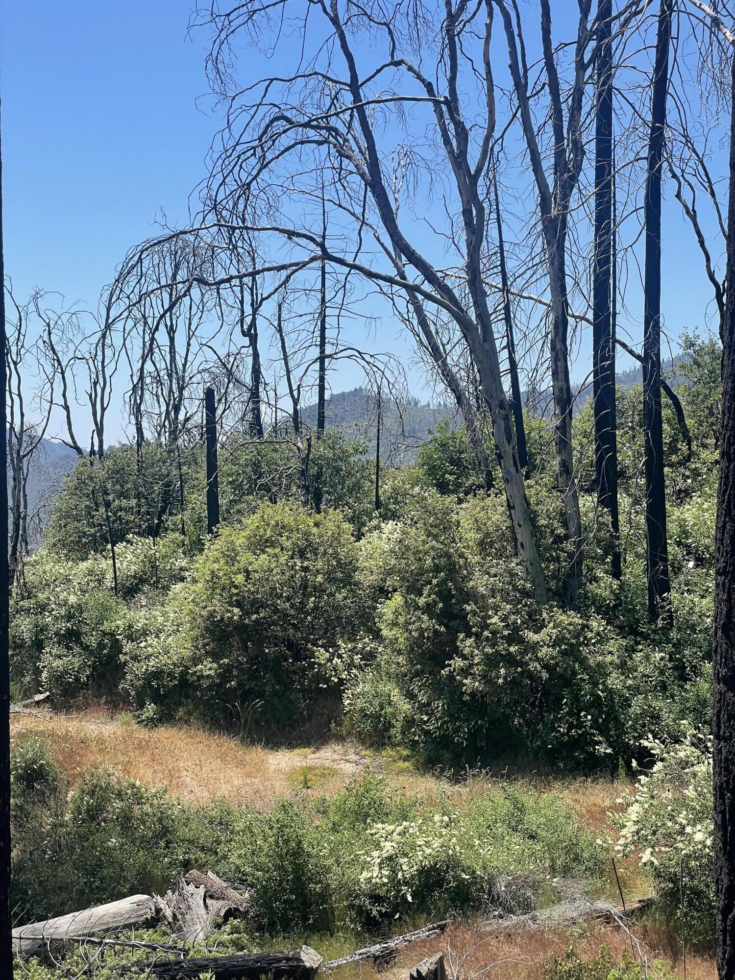 0 Highway 190, Cedar Slope, CA 93265