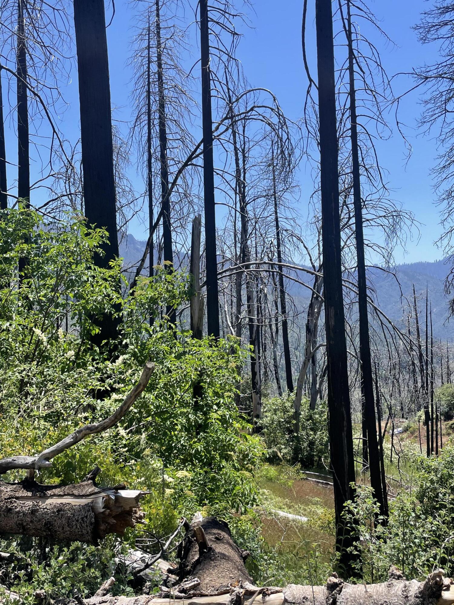 0 Highway 190, Cedar Slope, CA 93265
