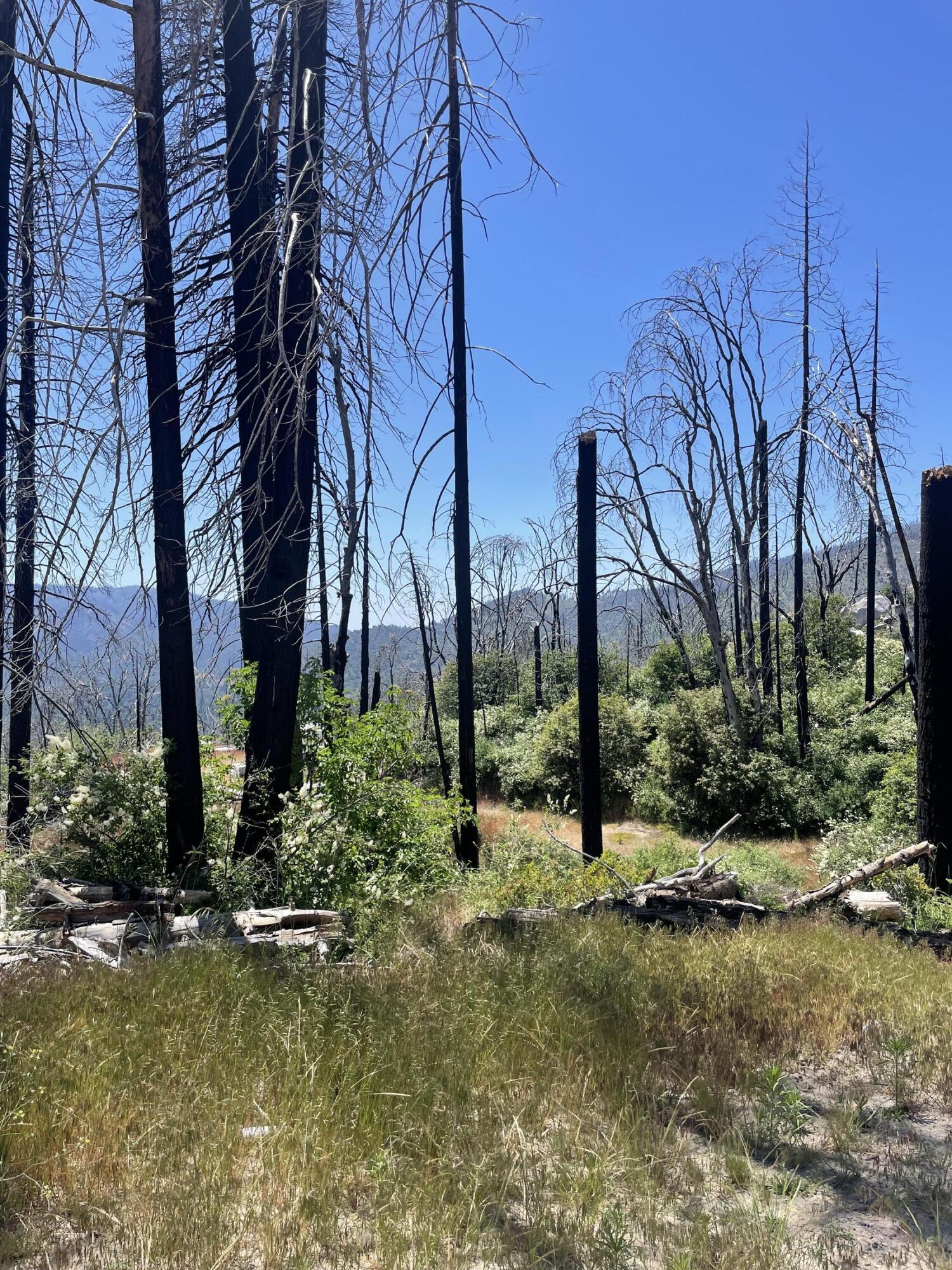 0 Highway 190, Cedar Slope, CA 93265