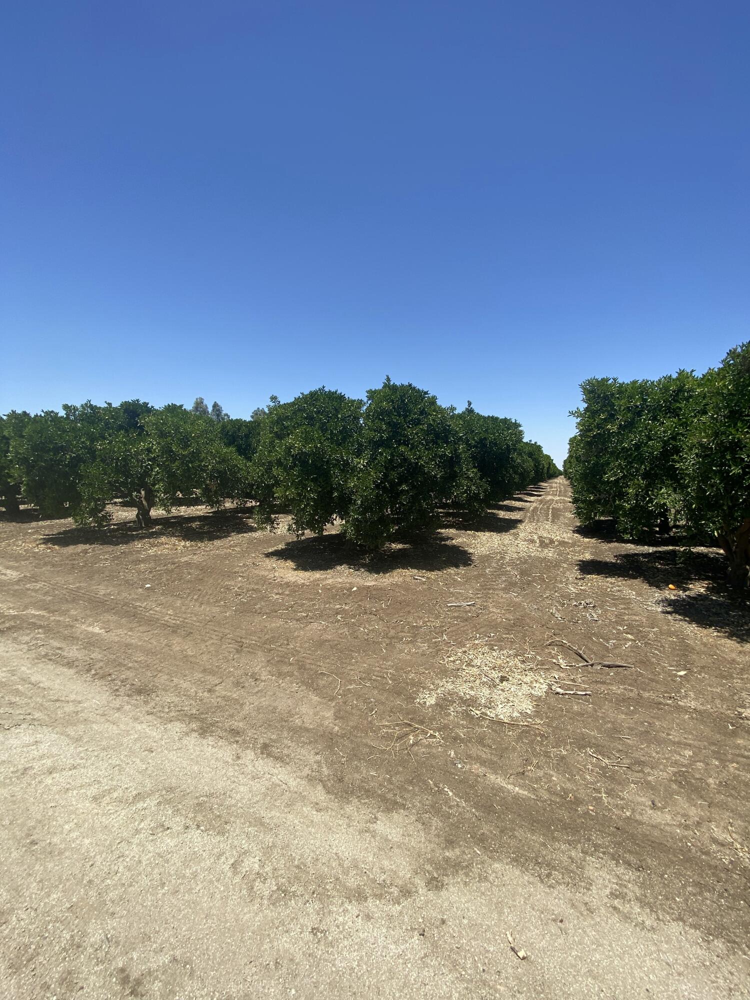 0, Terra Bella, CA 93270