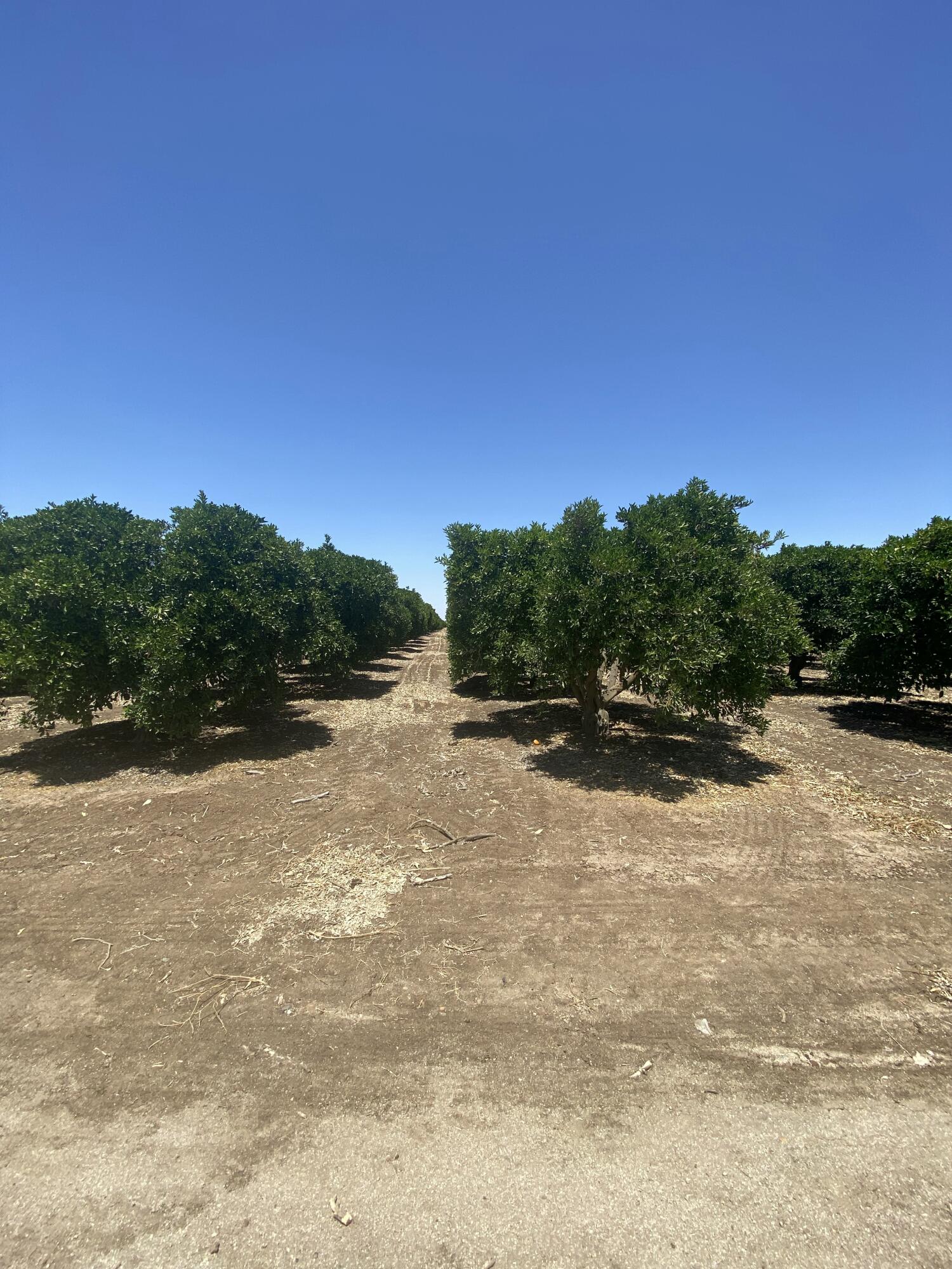 0, Terra Bella, CA 93270