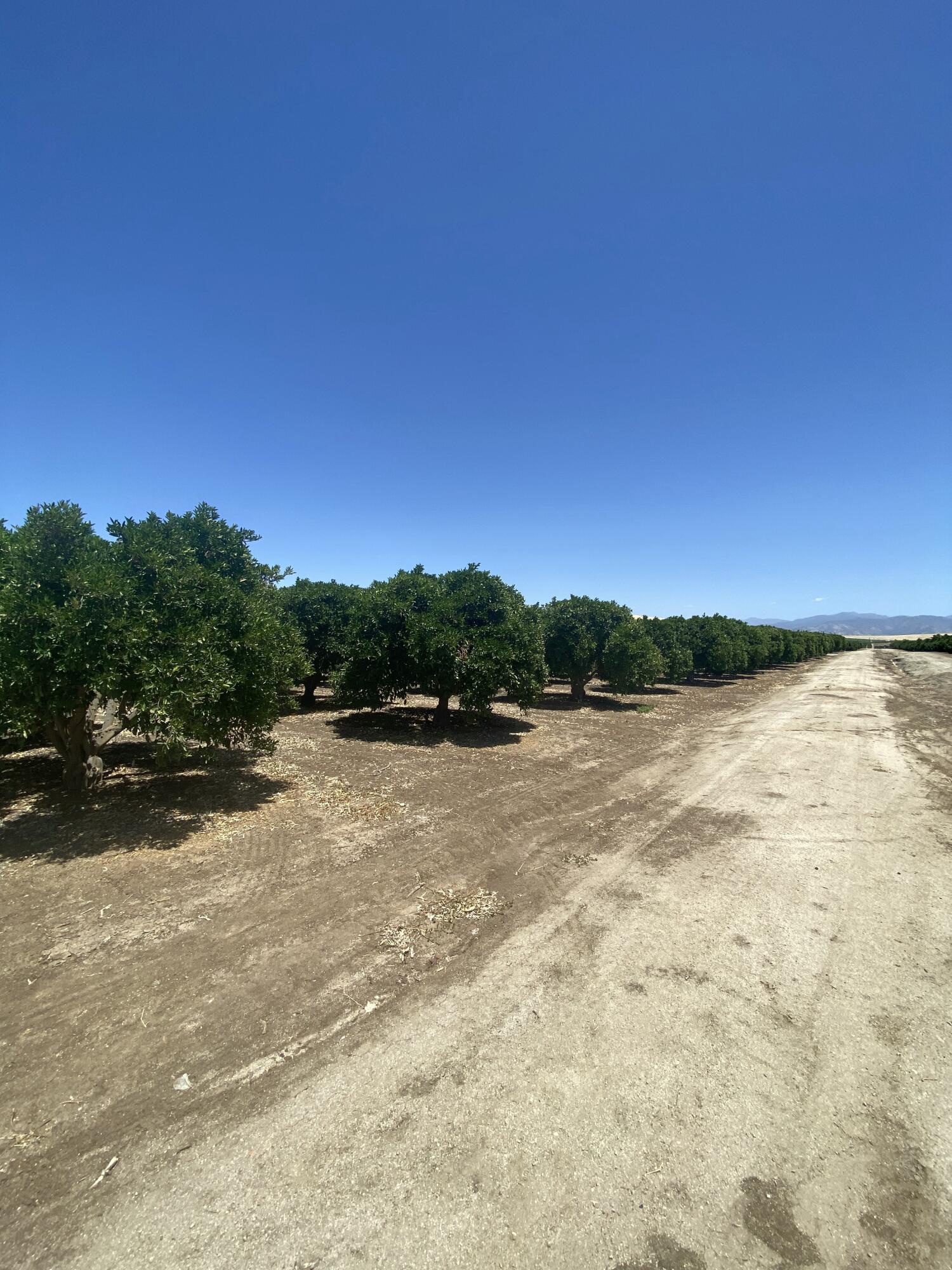 0, Terra Bella, CA 93270