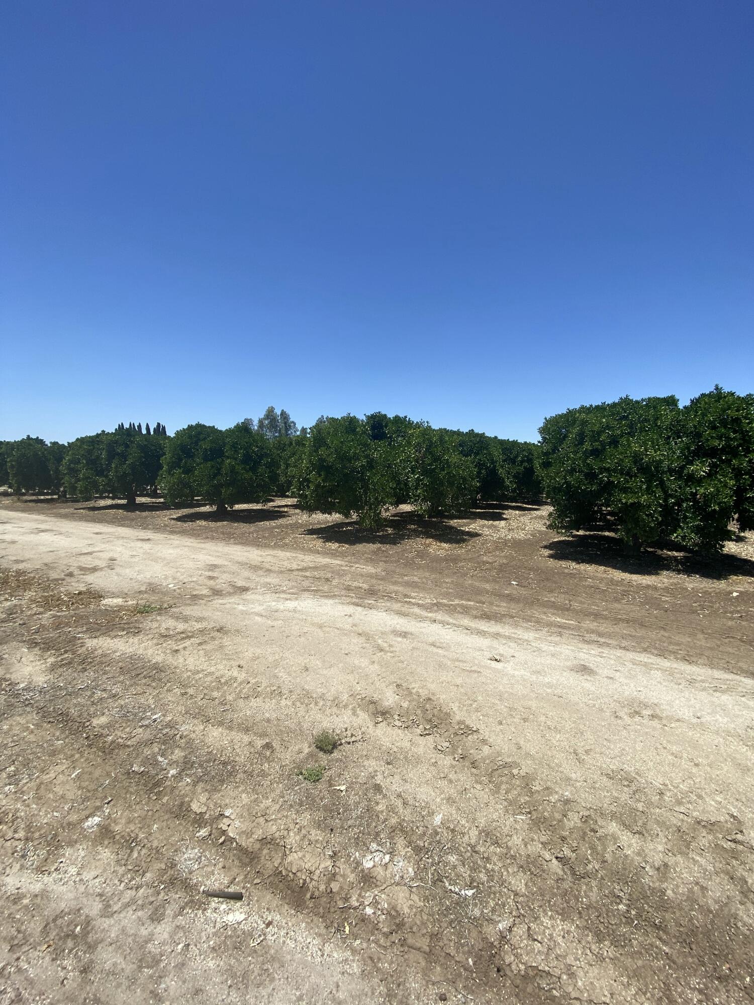 0, Terra Bella, CA 93270