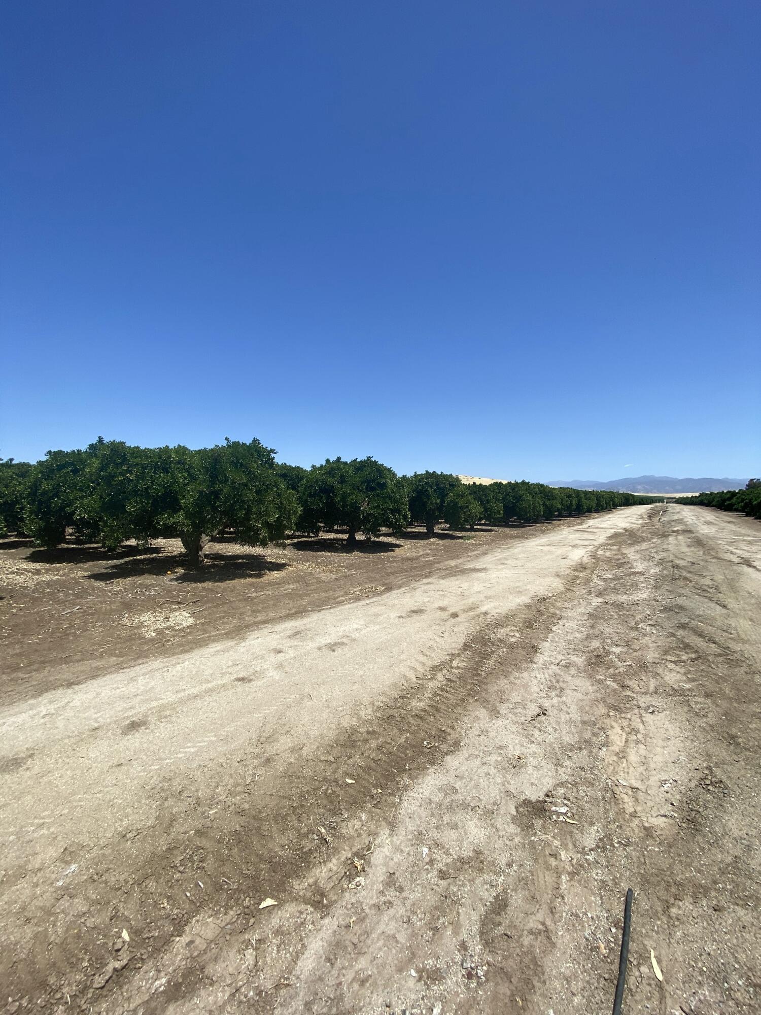 0, Terra Bella, CA 93270