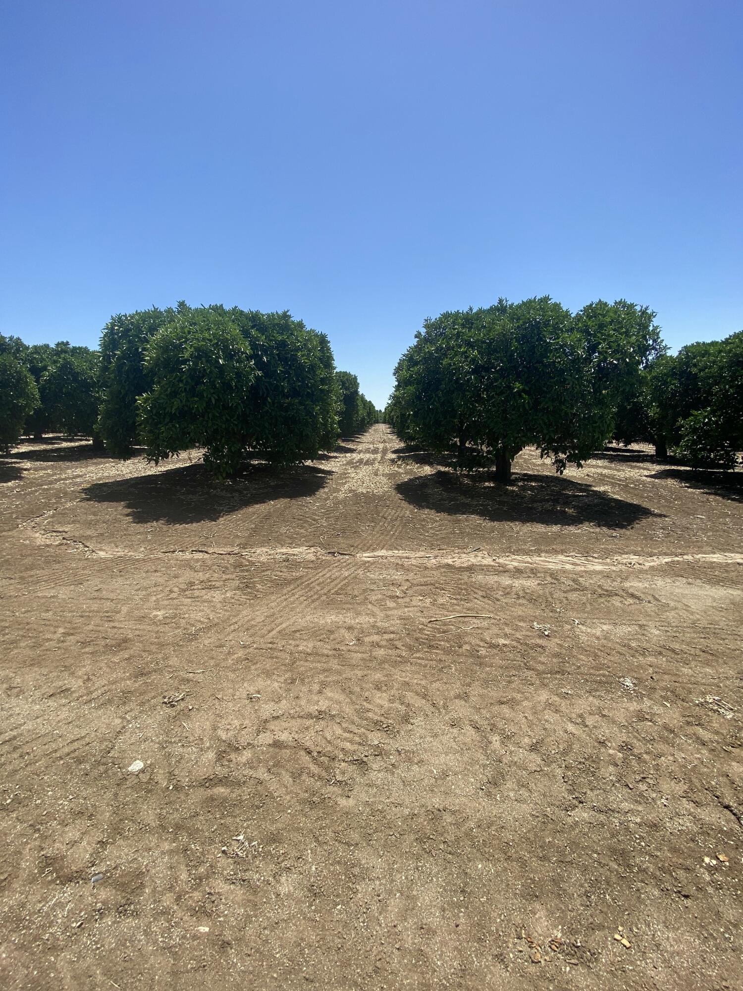 0, Terra Bella, CA 93270