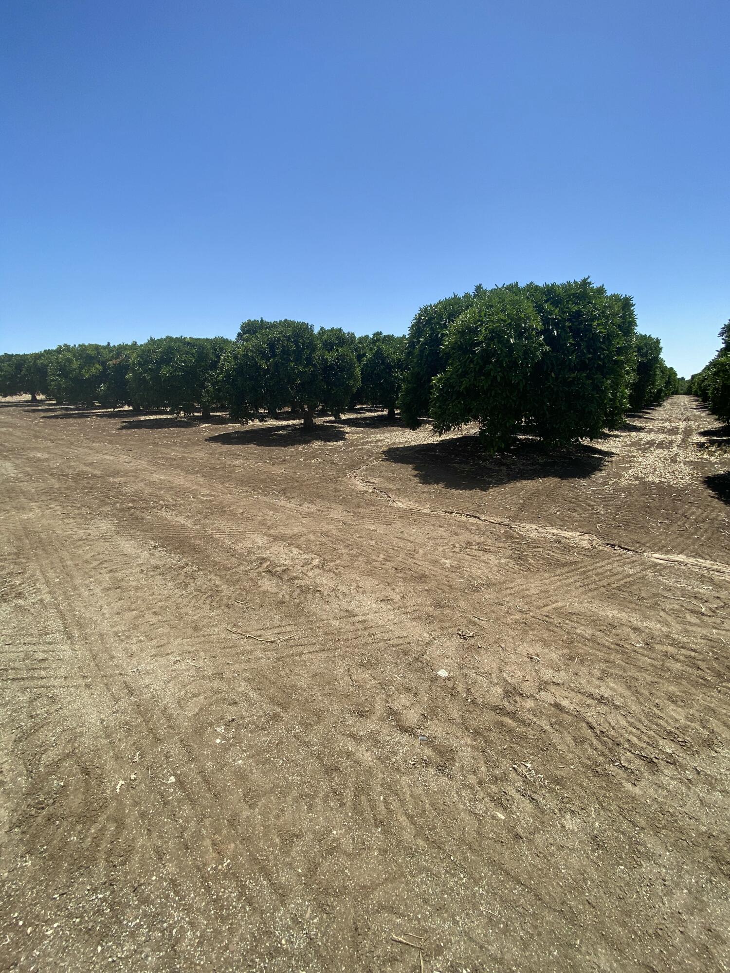 0, Terra Bella, CA 93270