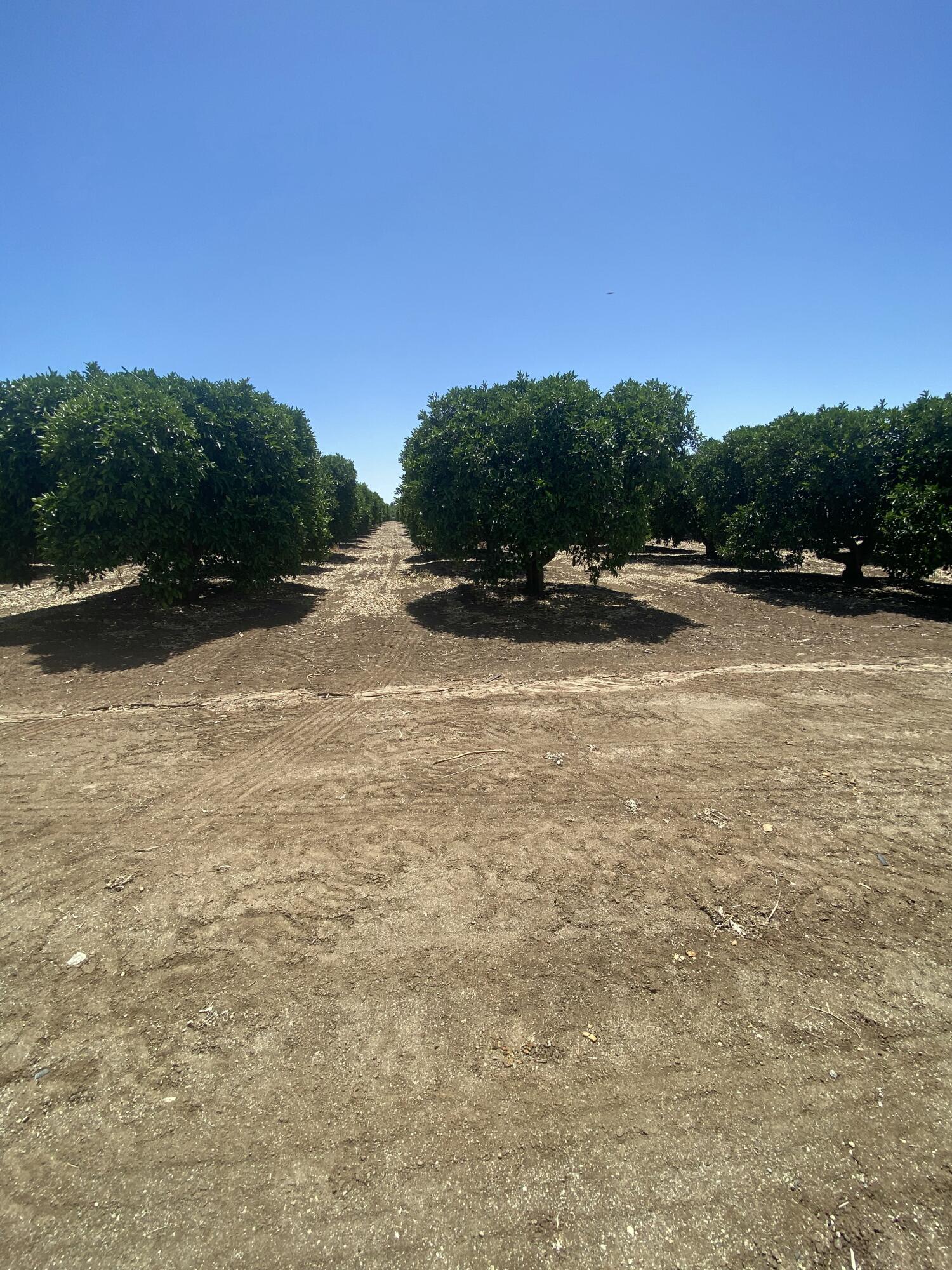 0, Terra Bella, CA 93270