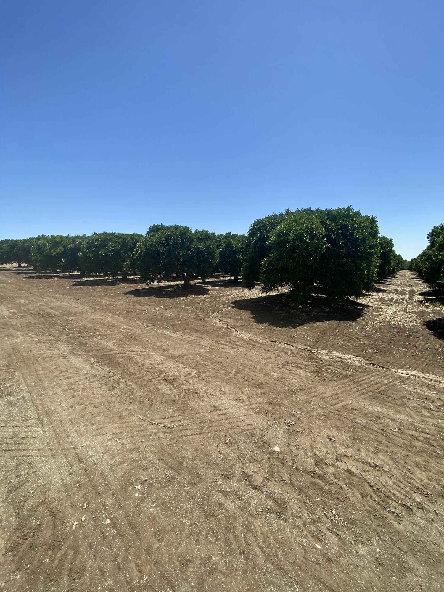 0, Terra Bella, CA 93270