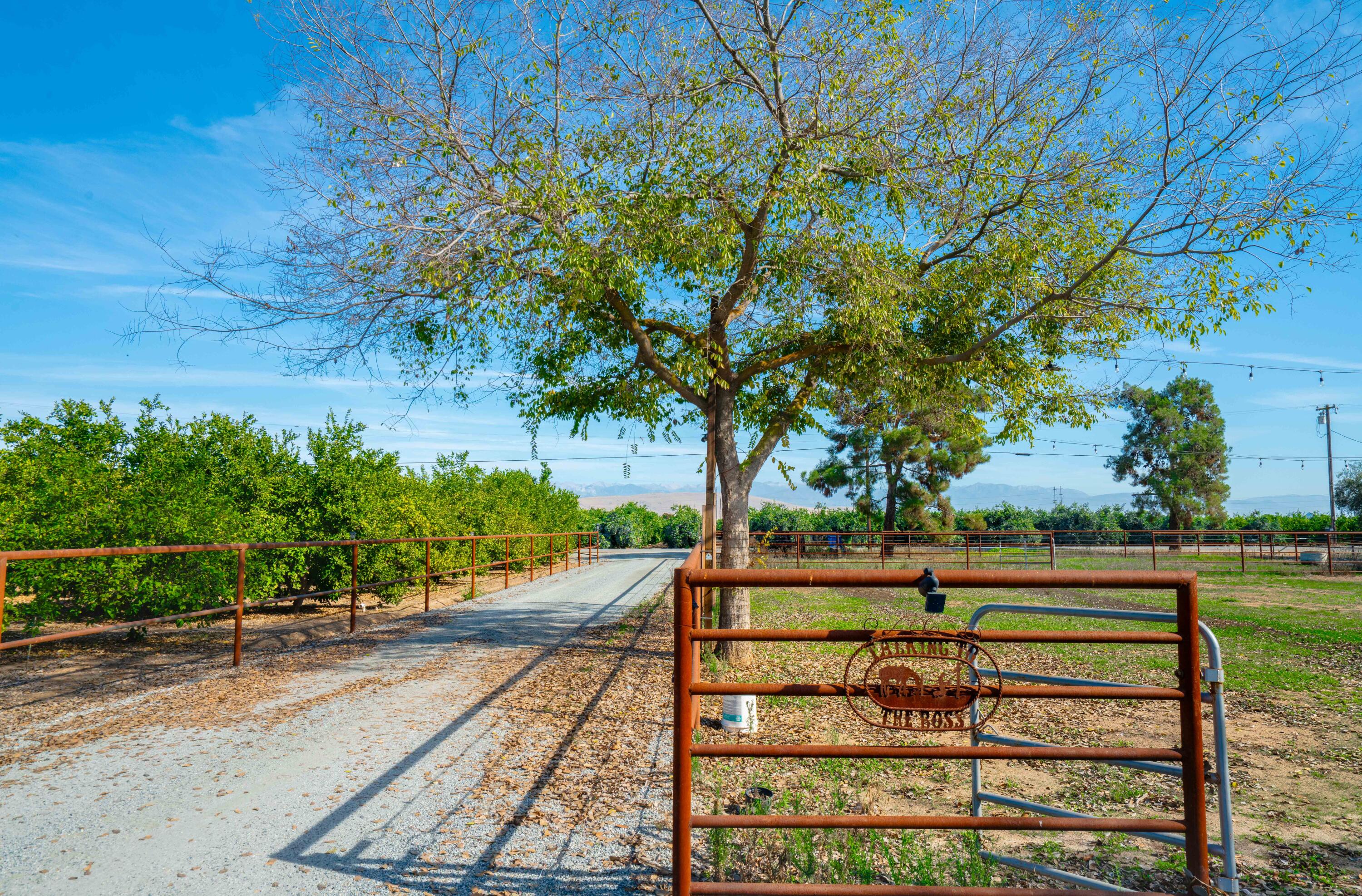 36705 Rd 144, Visalia, CA 93292