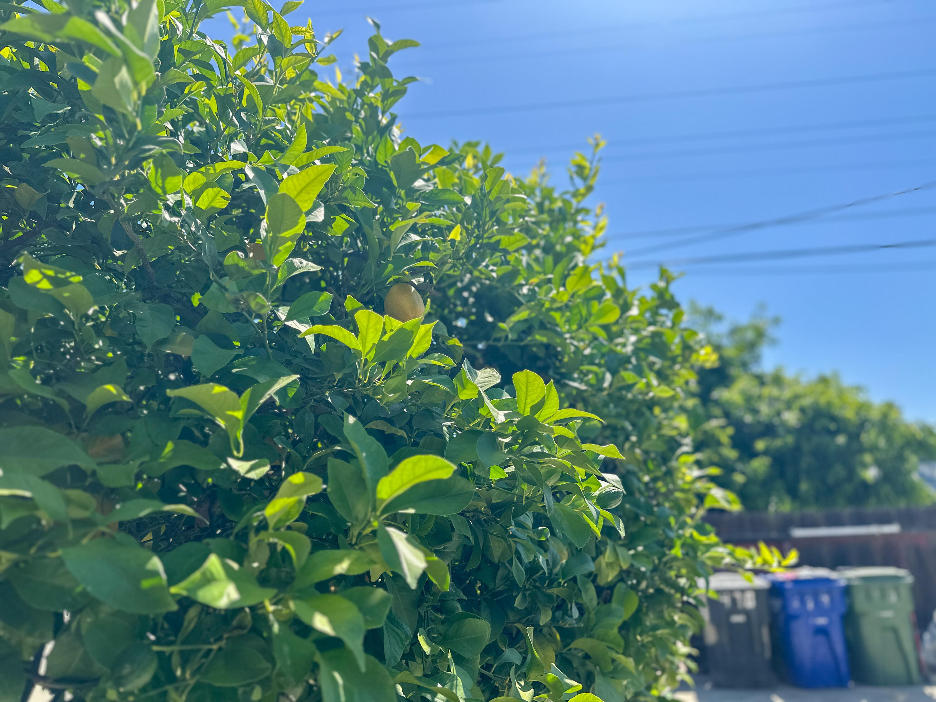 470 N Bates Ave, Dinuba, CA 93618
