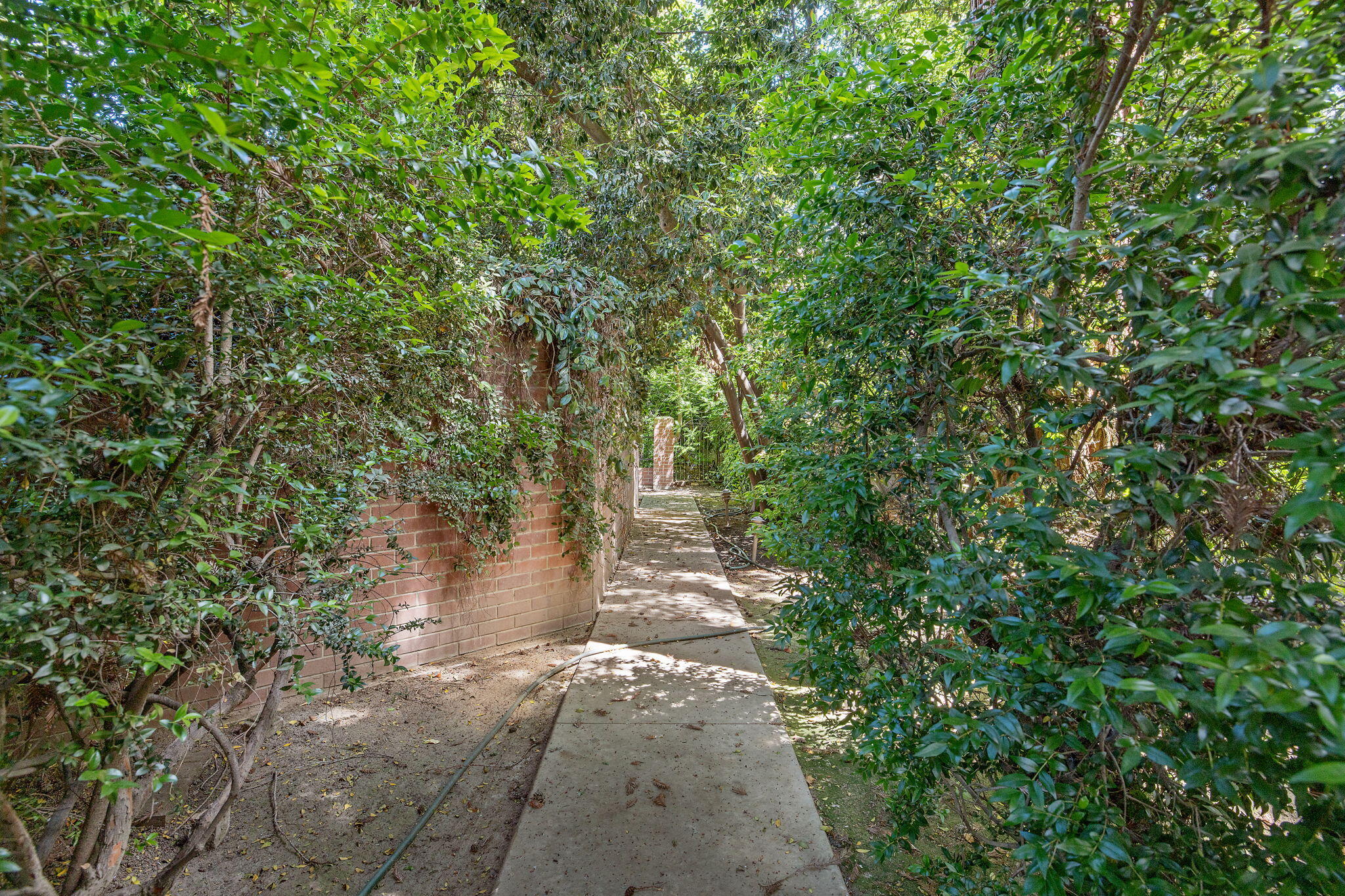 1409 W Beverly Dr, Visalia, CA 93277