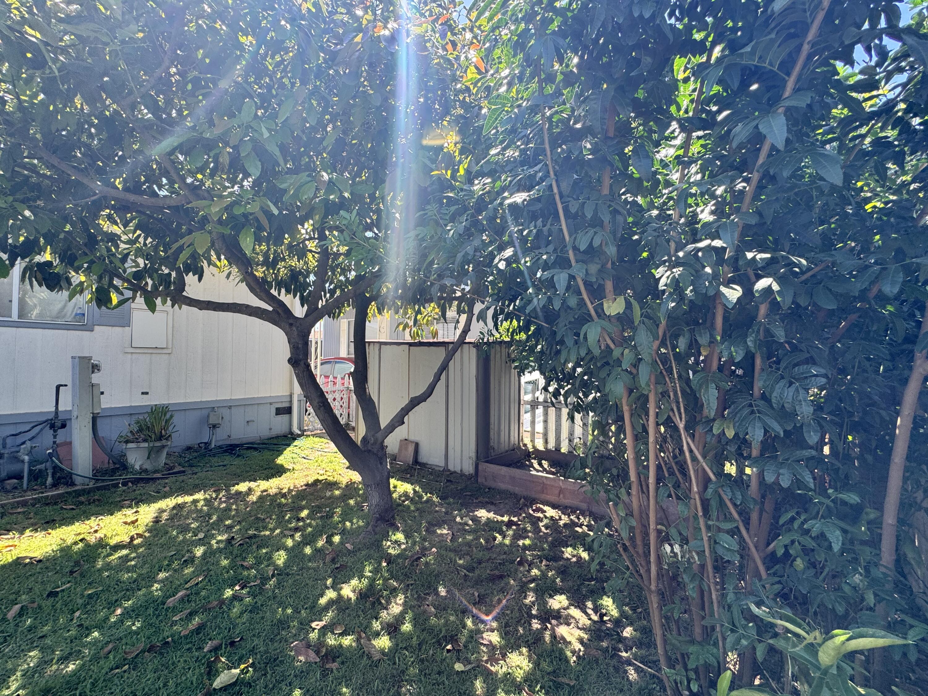 1095 W Mccoy Ln, Santa Maria, CA 93455