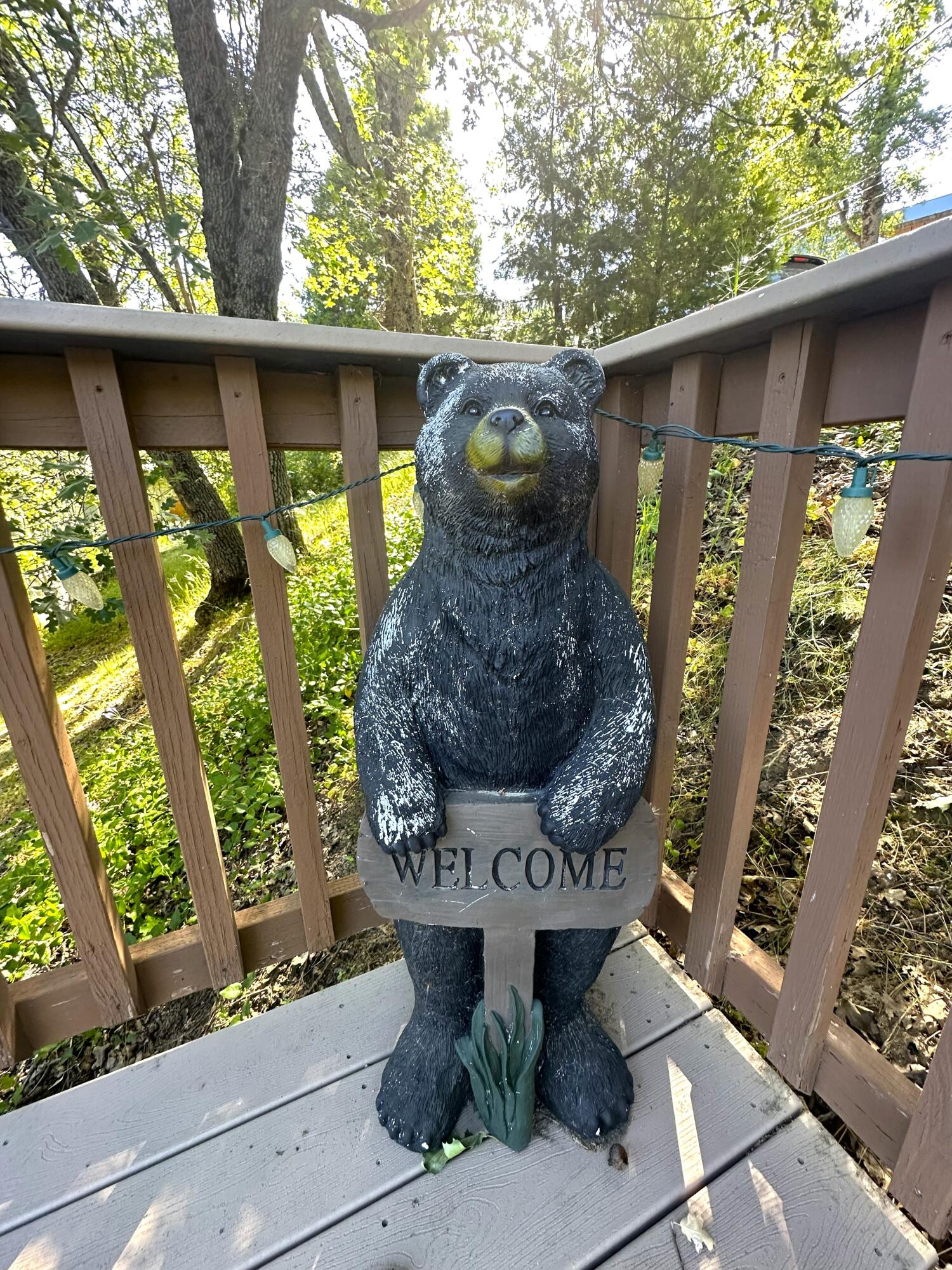 45288 Manter Meadow Dr, California Hot Springs, CA 93207