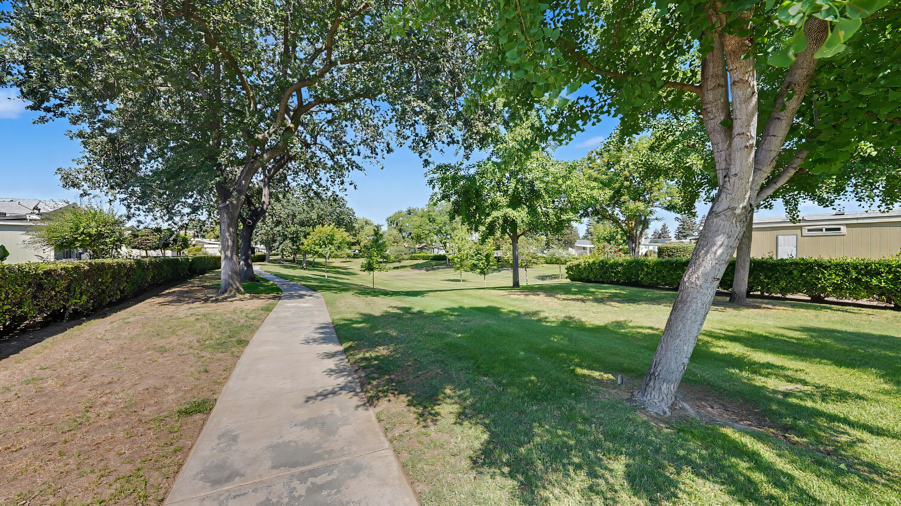 5031 W La Vida Ave ##95, Visalia, CA 93277